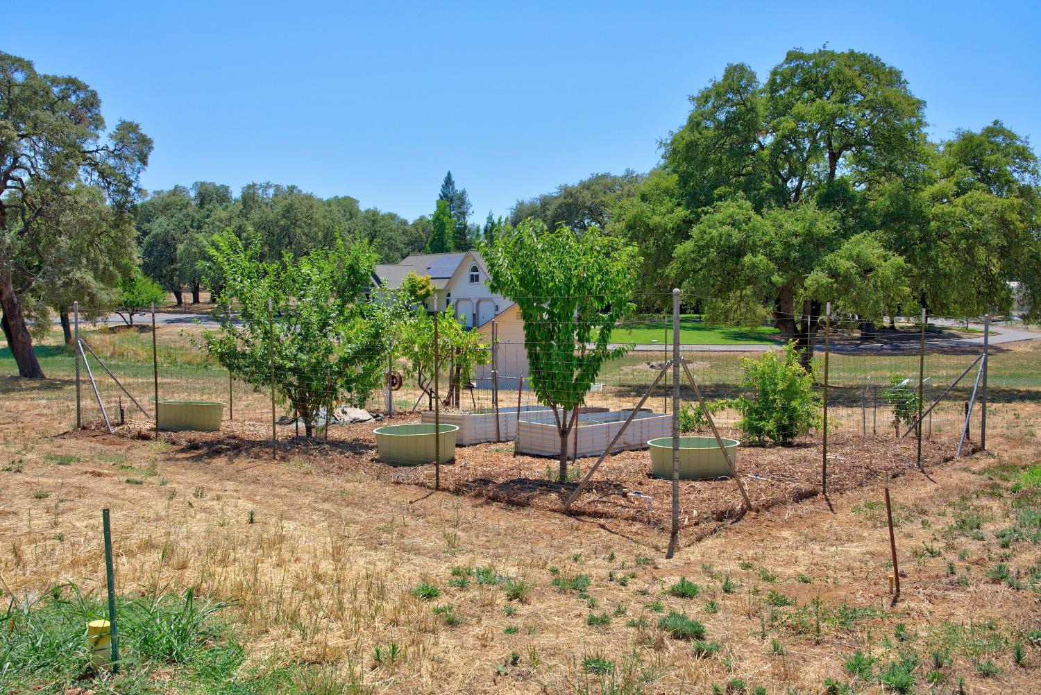 5343 Milton Ranch
