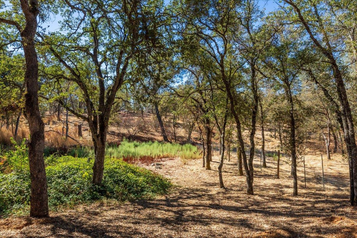 5080 Gold Hill Road