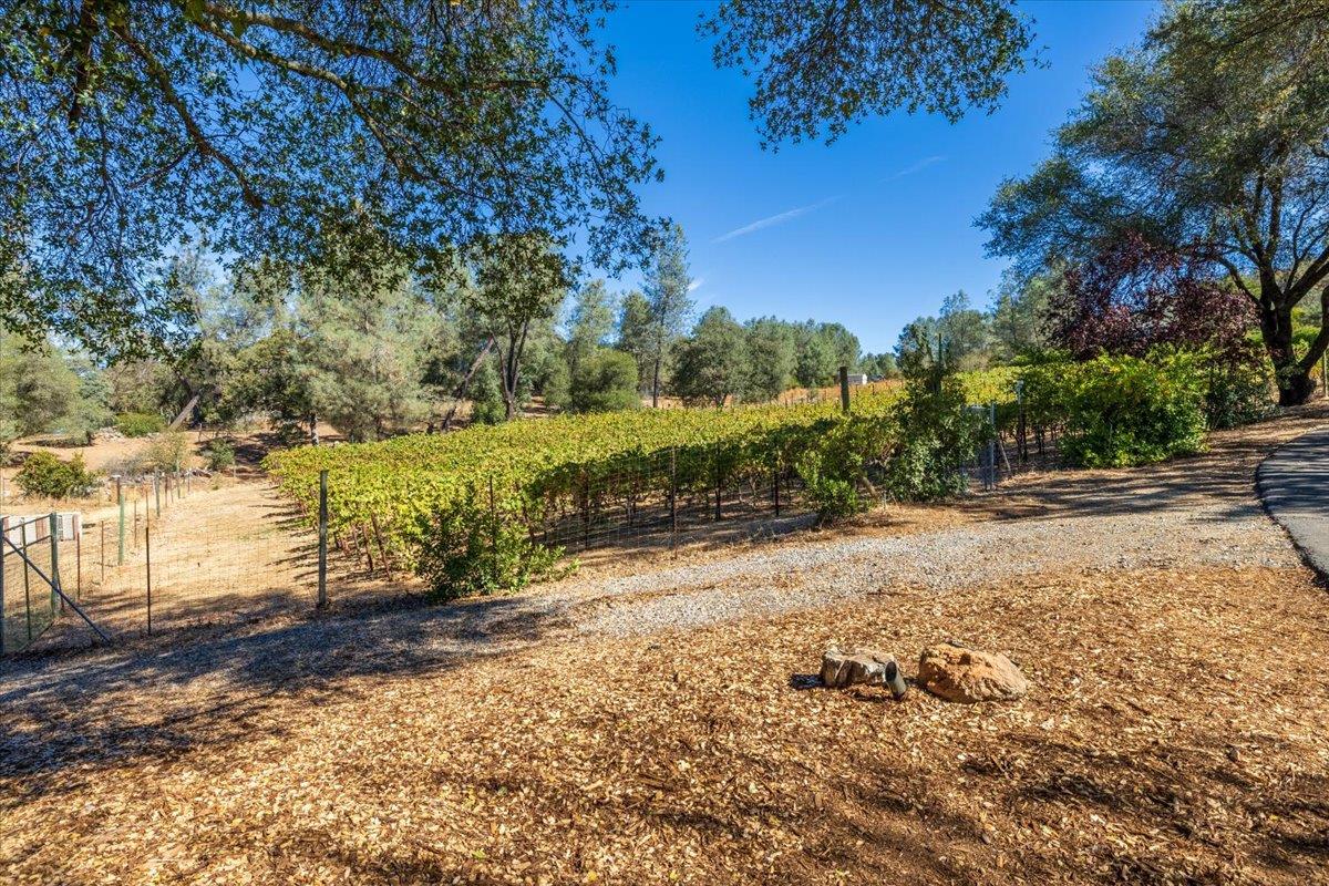 5080 Gold Hill Road