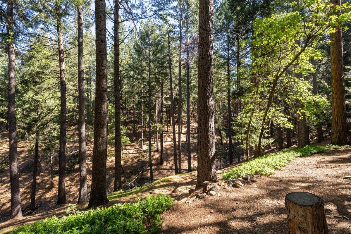5671 Sierra Springs Drive