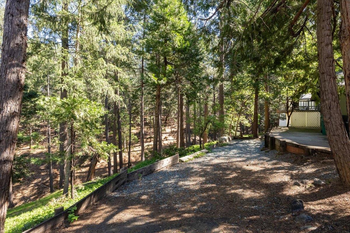 5671 Sierra Springs Drive
