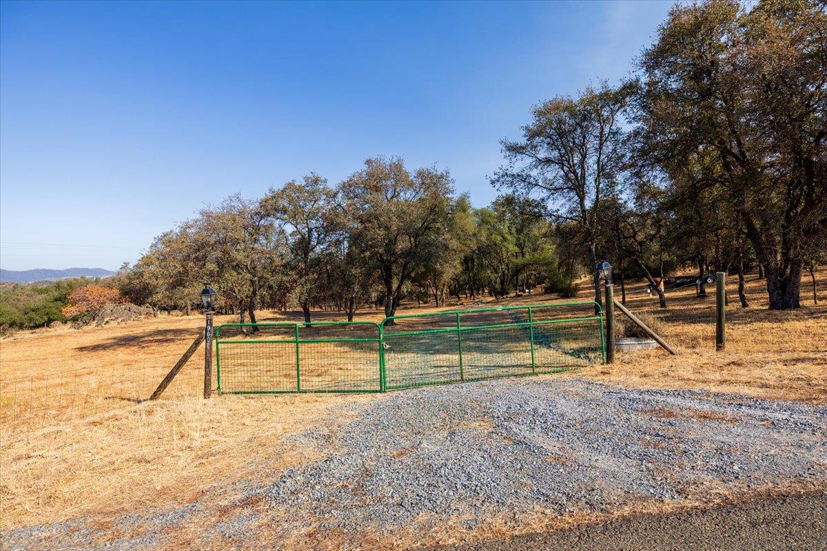 Rural acreage behind a green gate, with a gravel drive and oak trees.