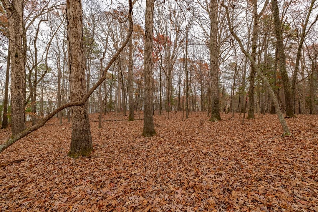 Lot 20 Serenity Point