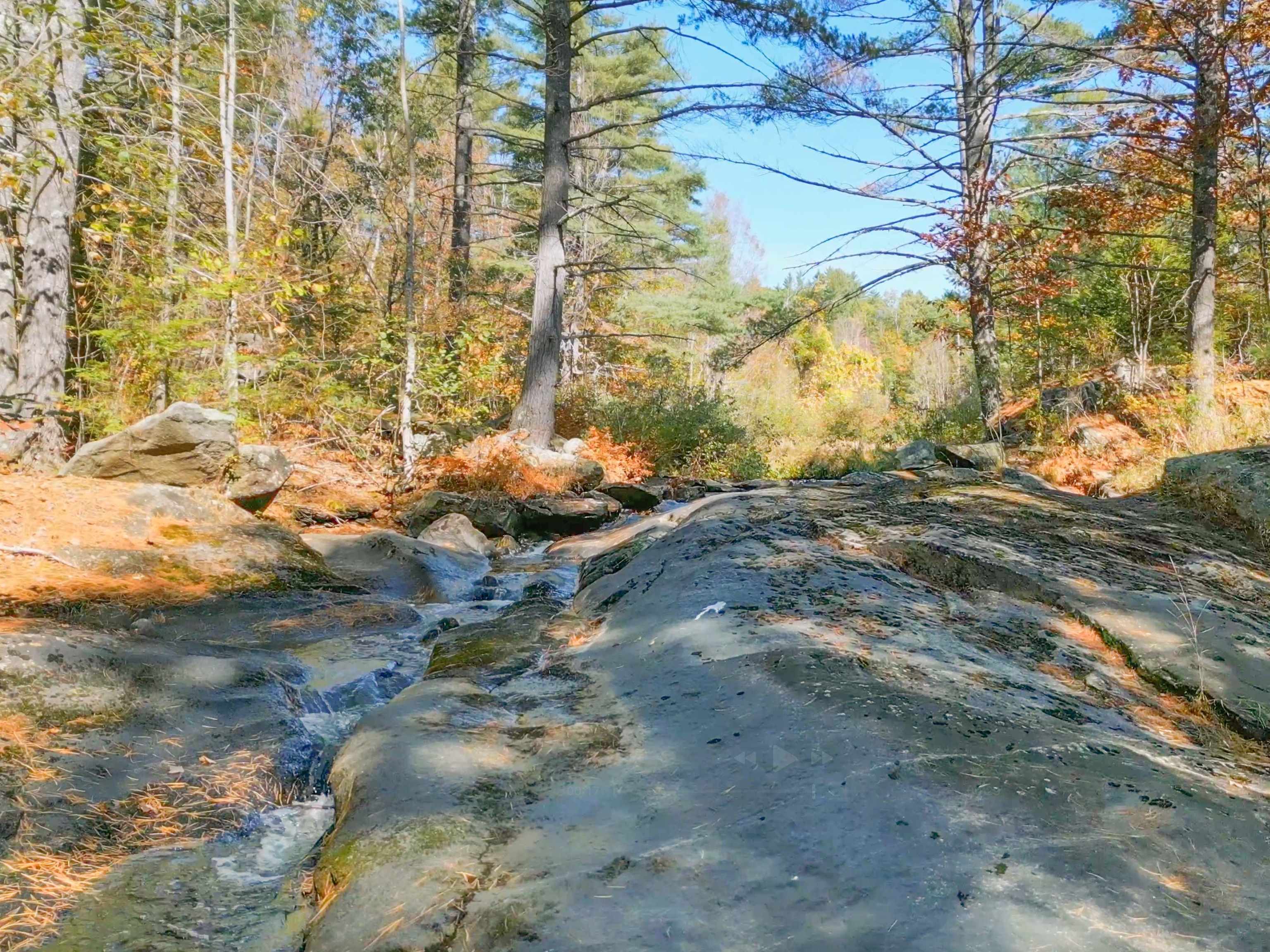 38 Pond Brook Road