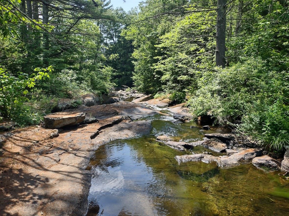 38 Pond Brook Road