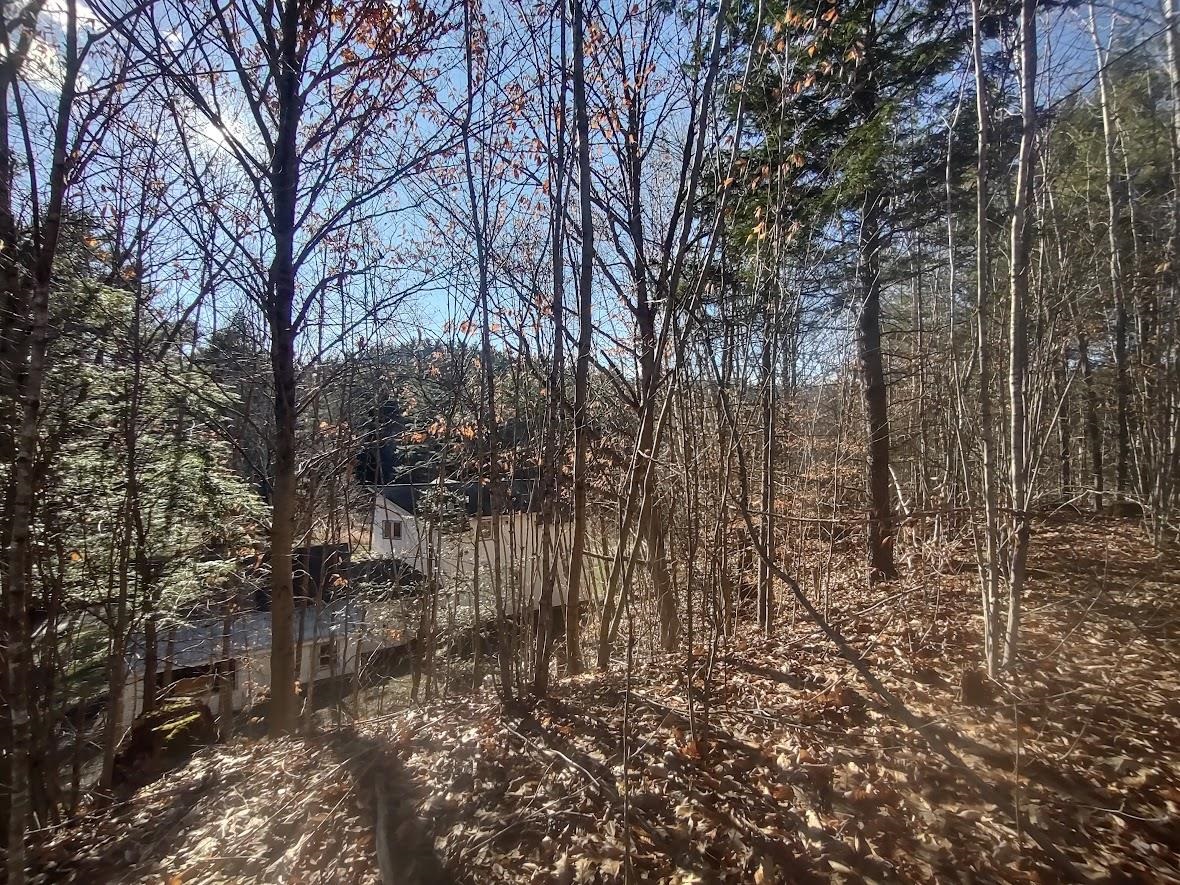 38 Pond Brook Road