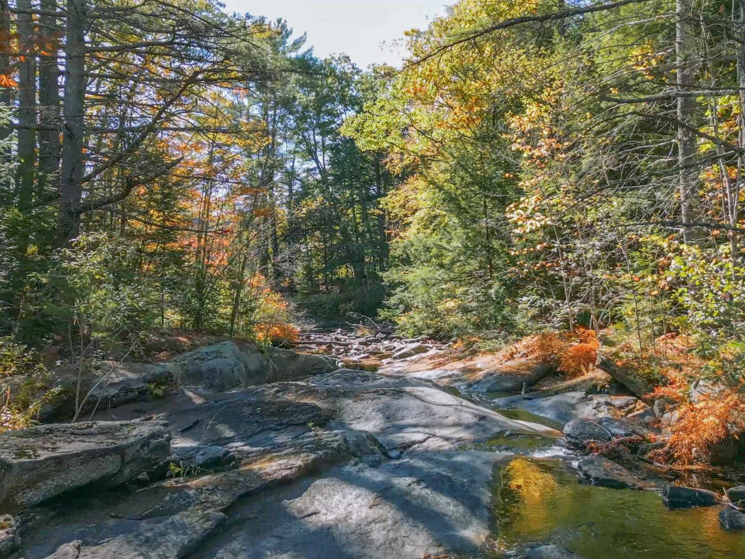 38 Pond Brook Road