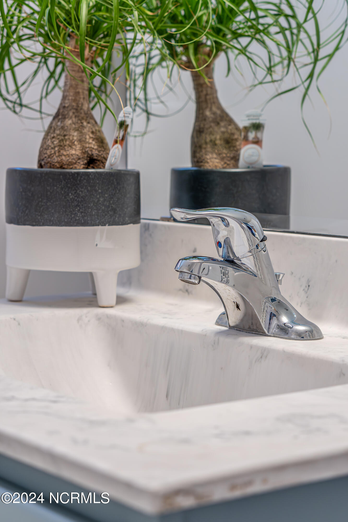 1150 Needleleaf Drive