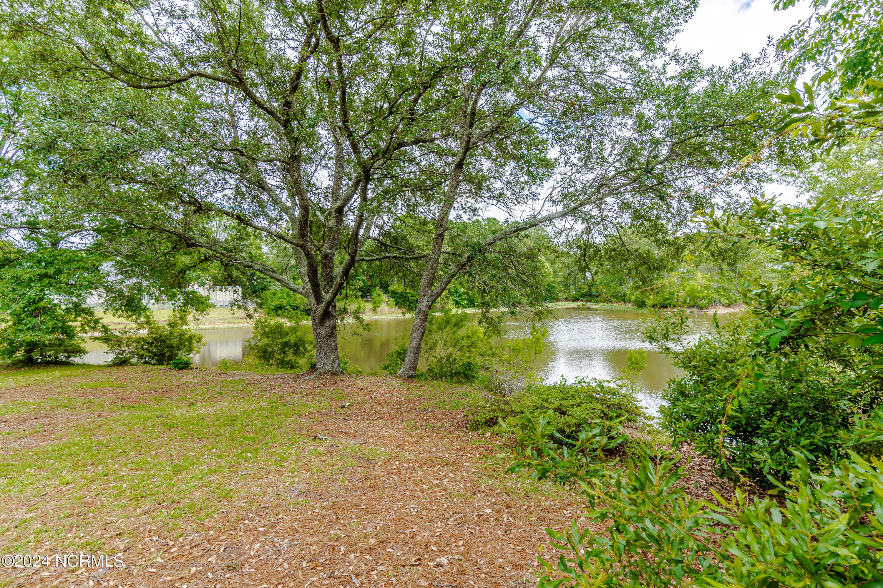 2804 Carthage Drive