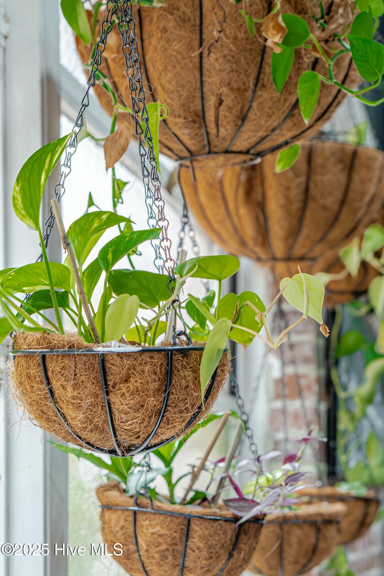 311 N 2nd Street, Apt C