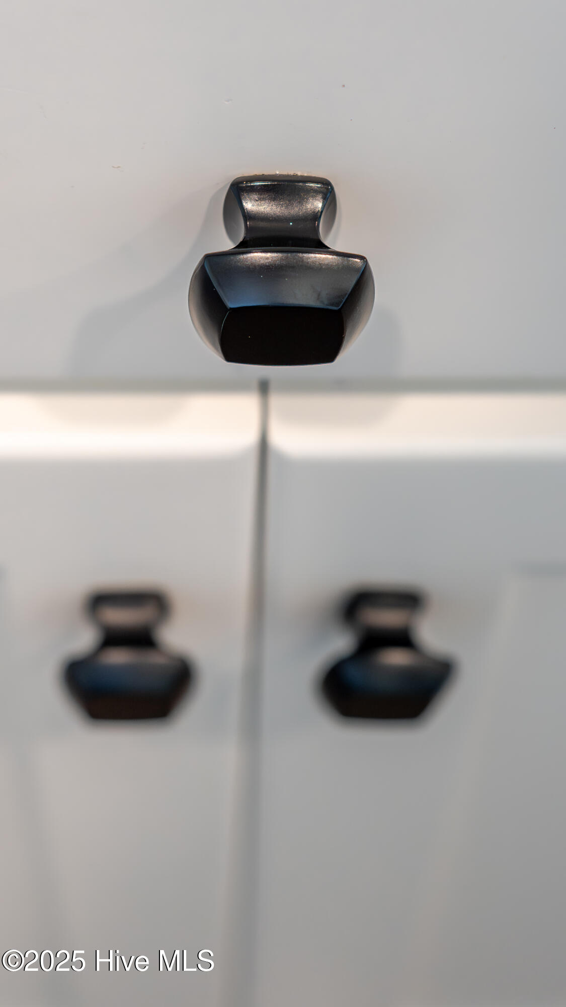 3330 Hemlock Way, Lot 128