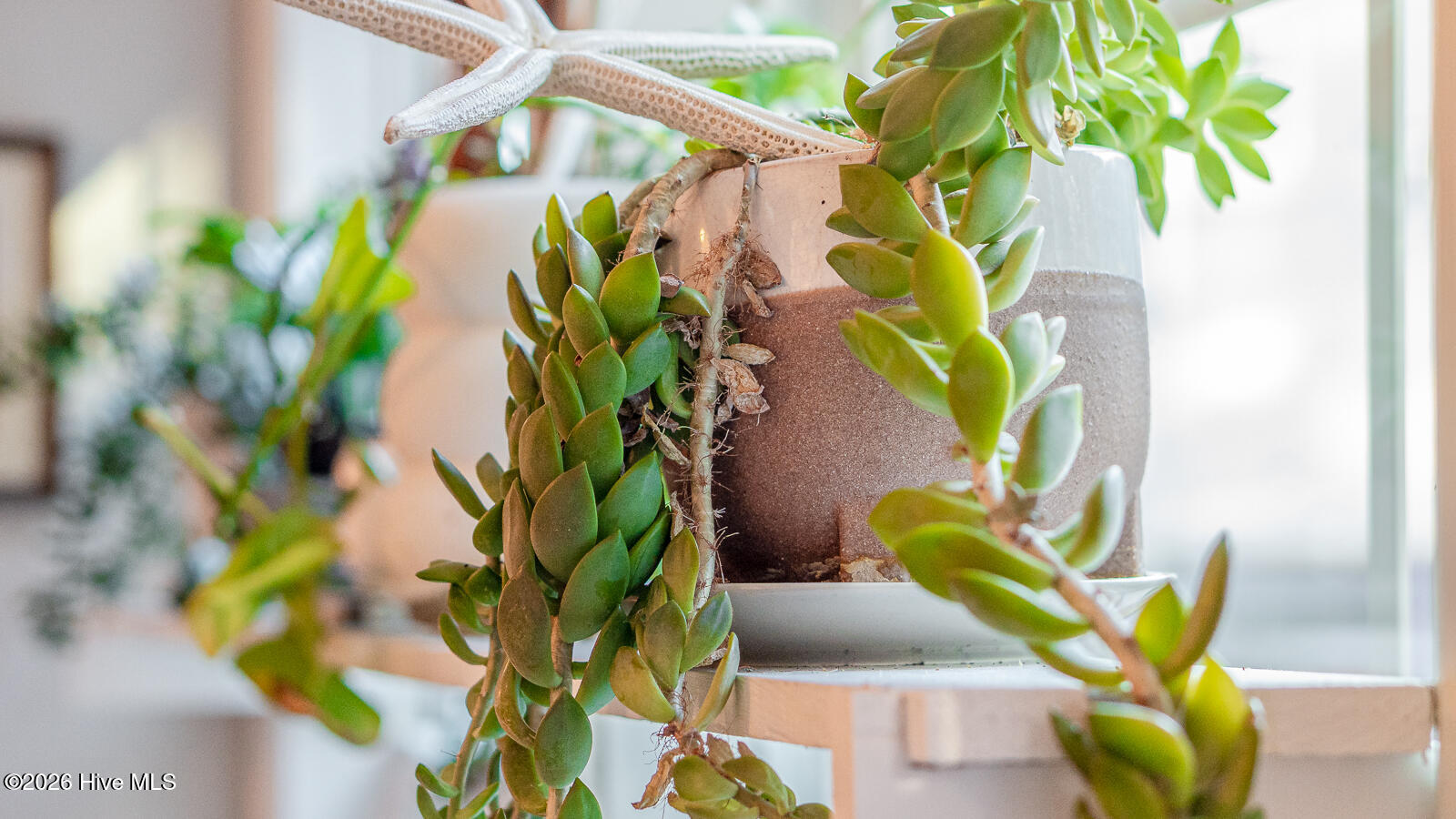 324 S Culverton Road