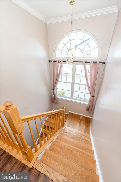 2102 WALNUT RIDGE COURT