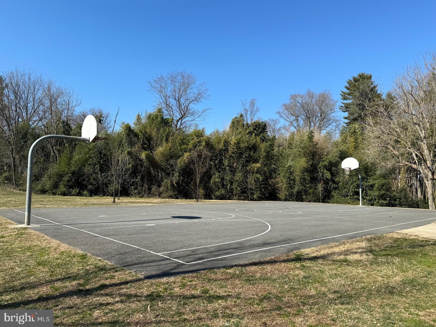 8012 LILLY STONE DRIVE