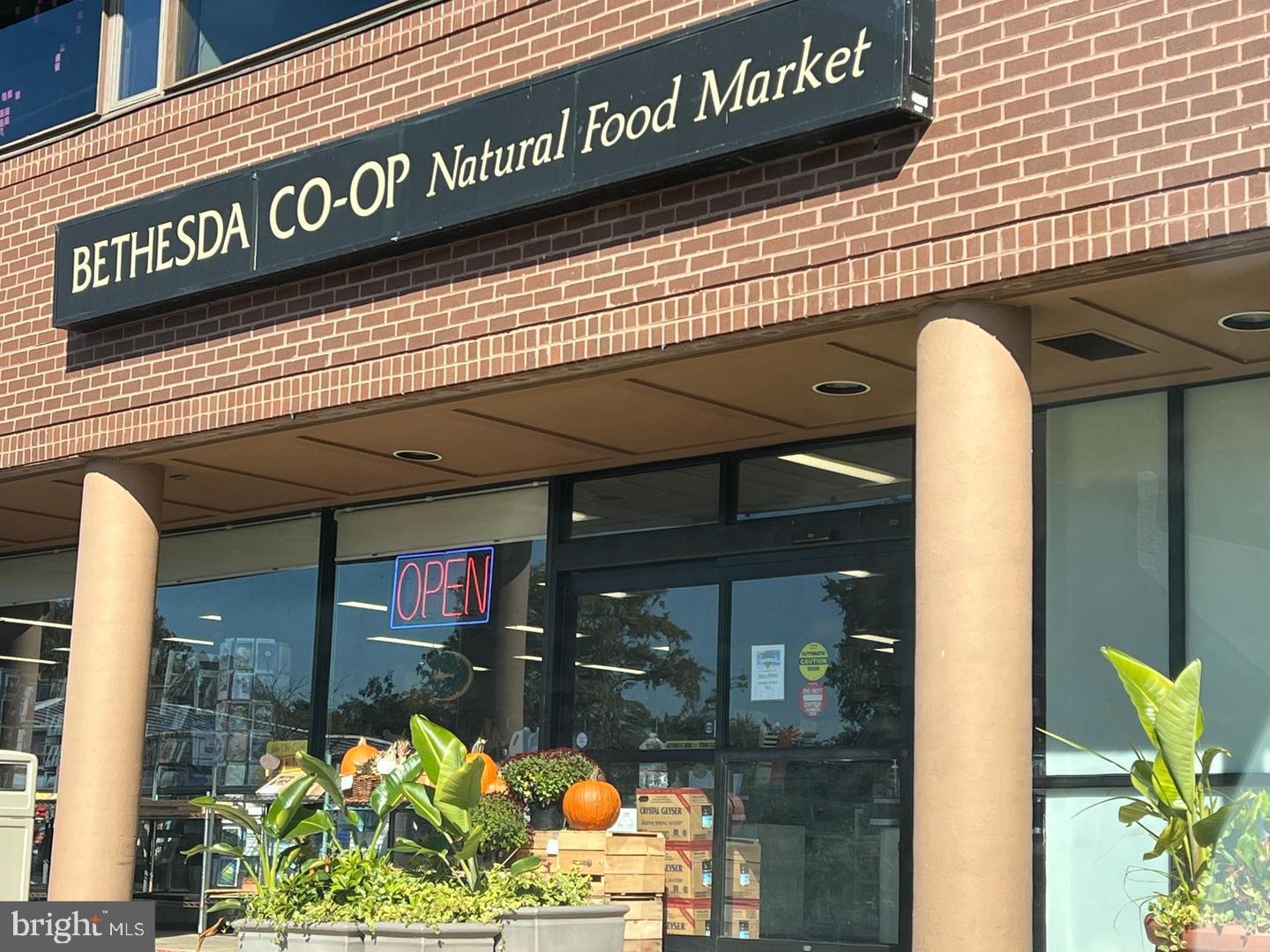 8012 LILLY STONE DRIVE