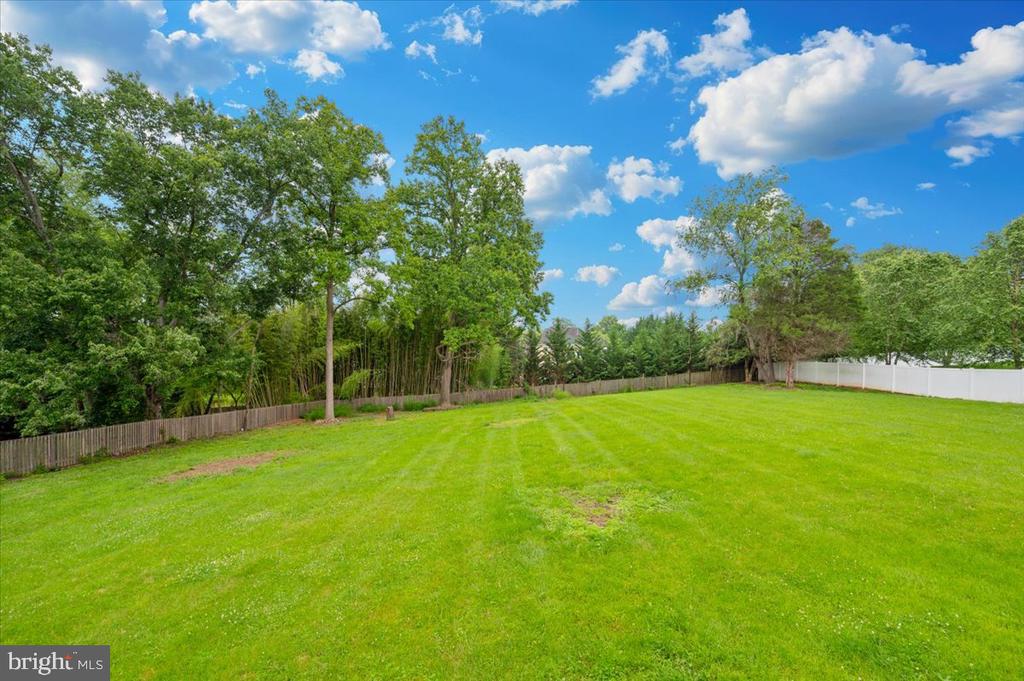 14209 MARIAN DRIVE