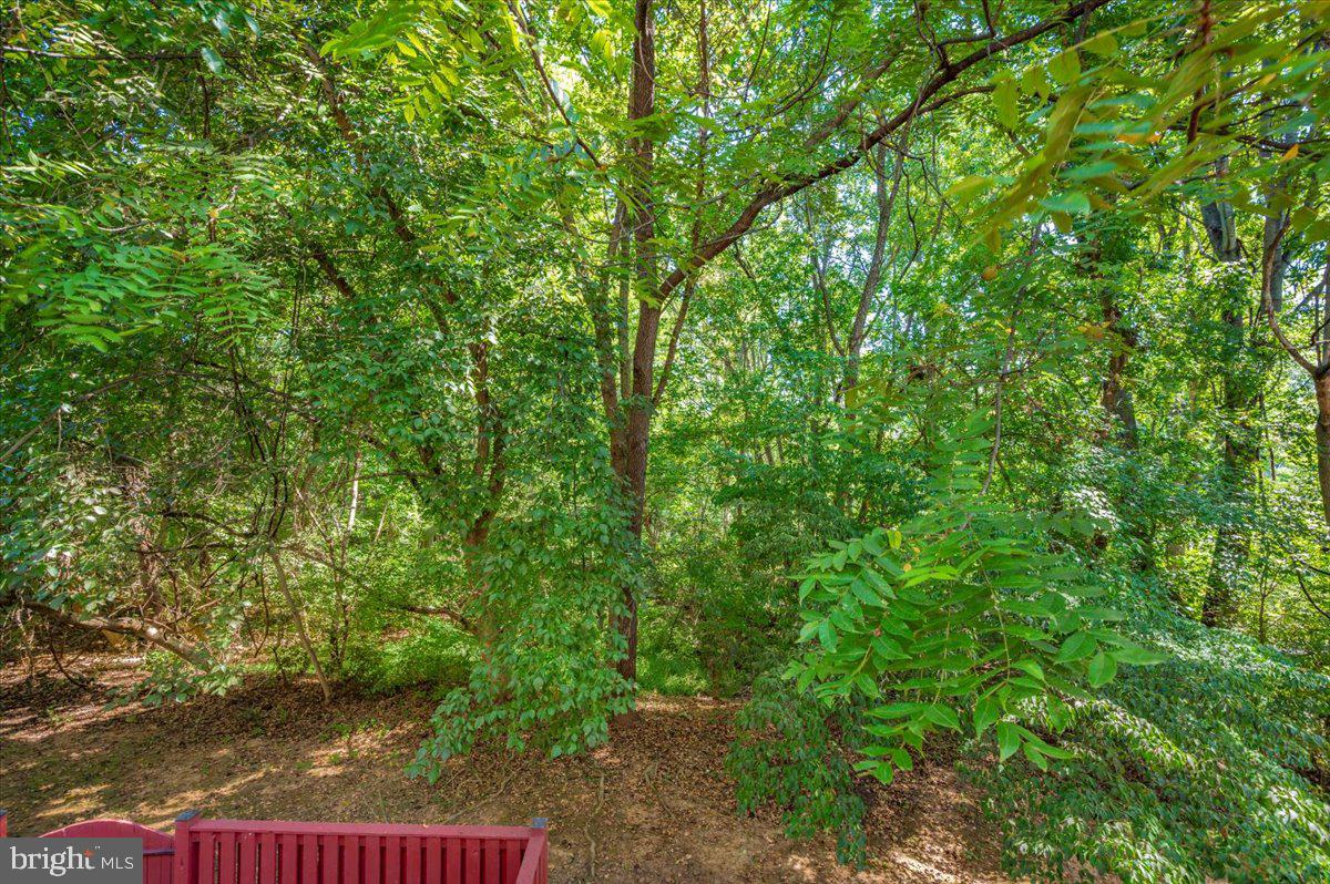 19223 CROSS RIDGE DRIVE