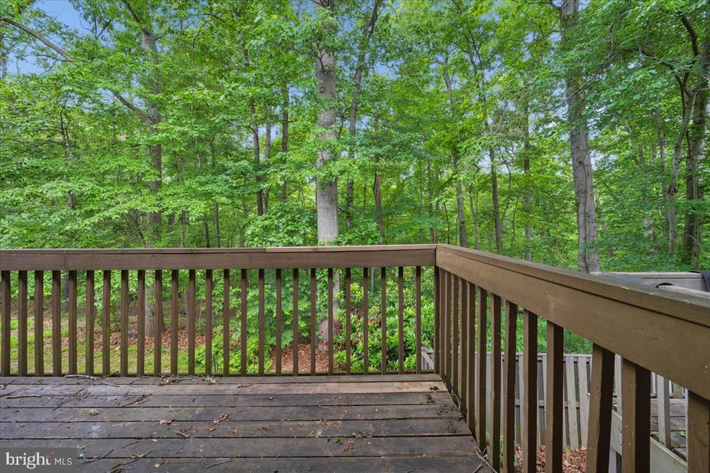 10113 MAPLE LEAF DRIVE