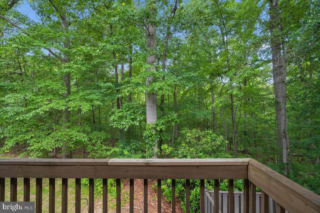 10113 MAPLE LEAF DRIVE