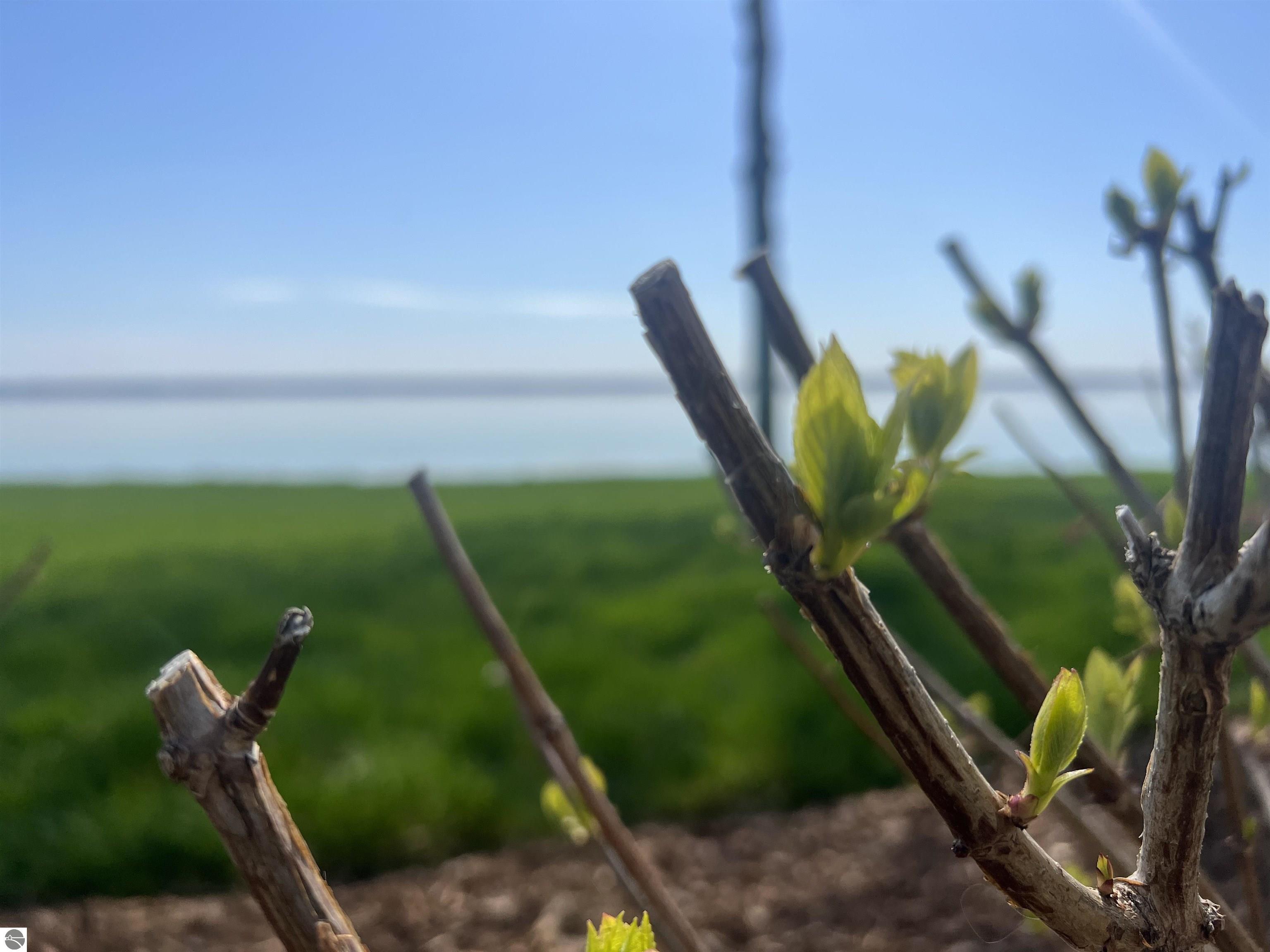 15706 Shoreline Court