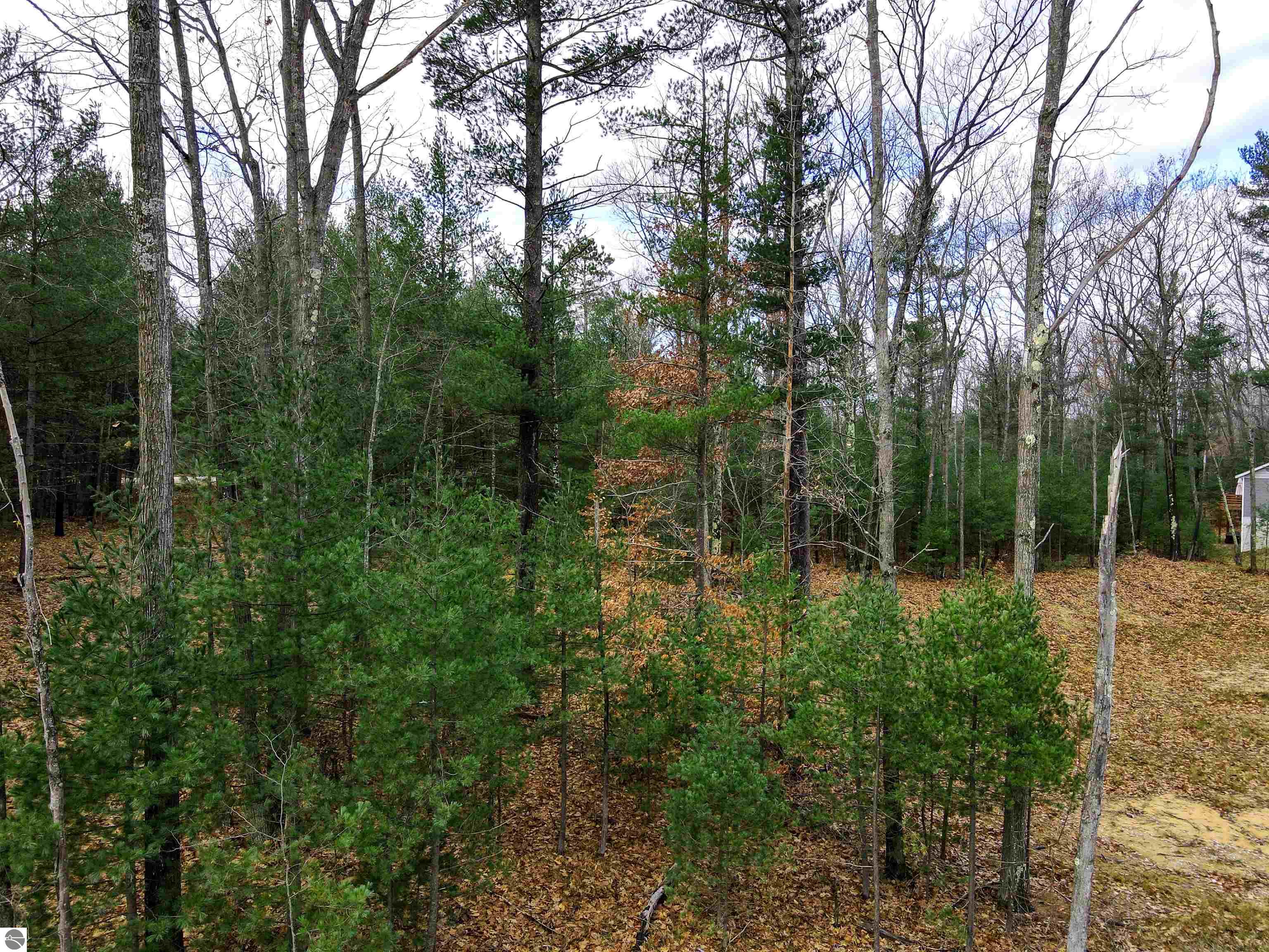 2266 Arbutus Ridge Drive