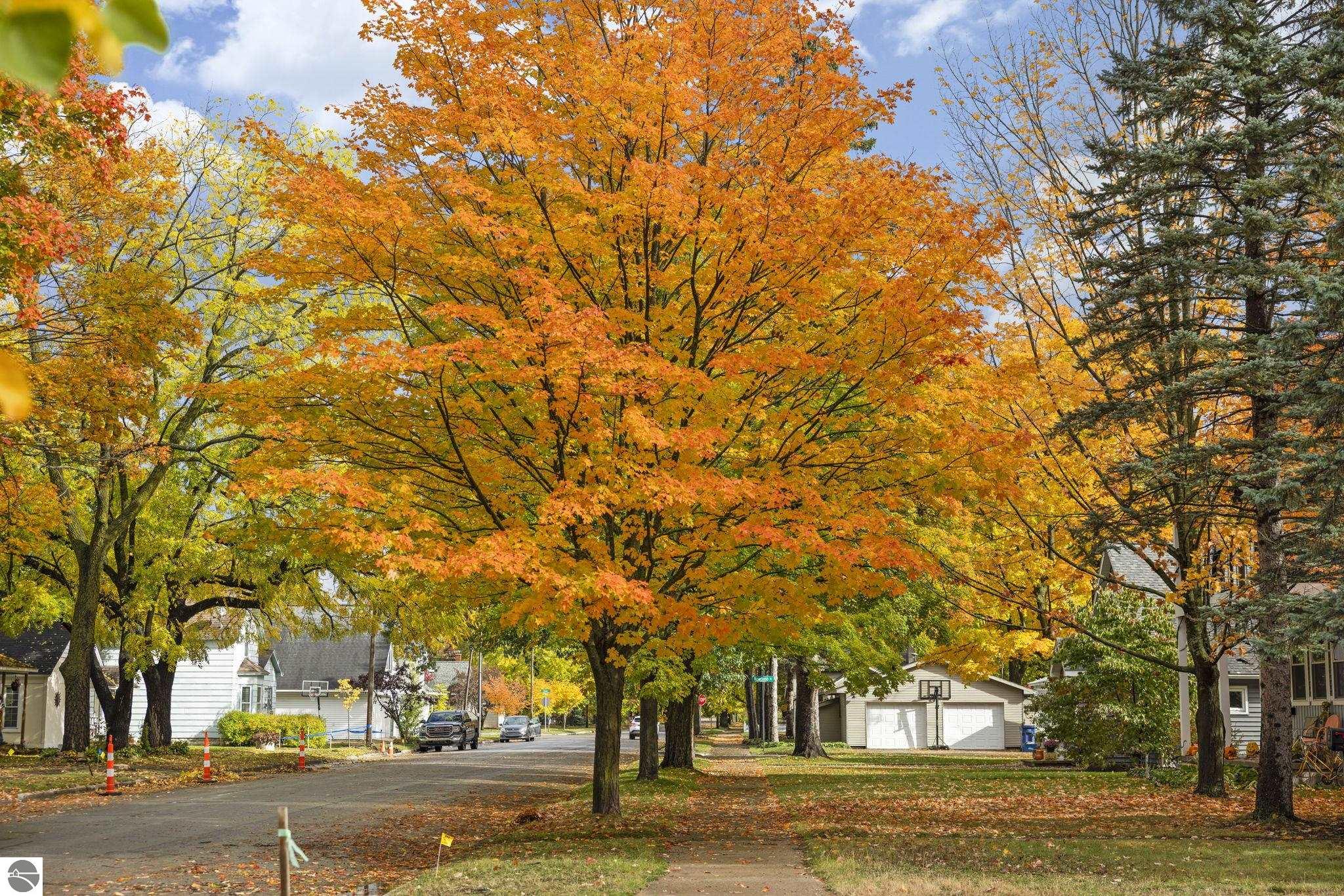 221 W Fifteenth Street, Traverse City