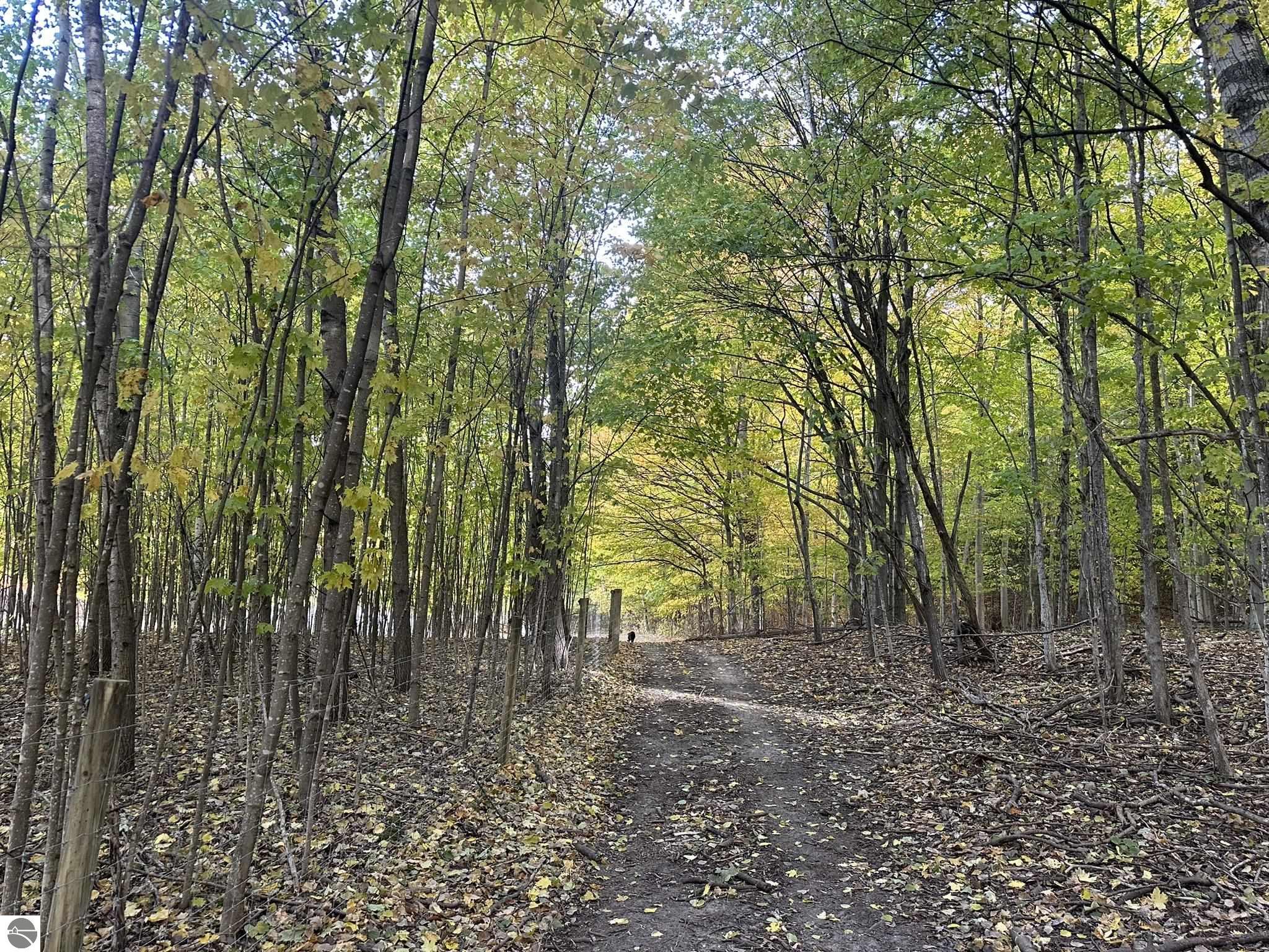 2075 S Lake Leelanau