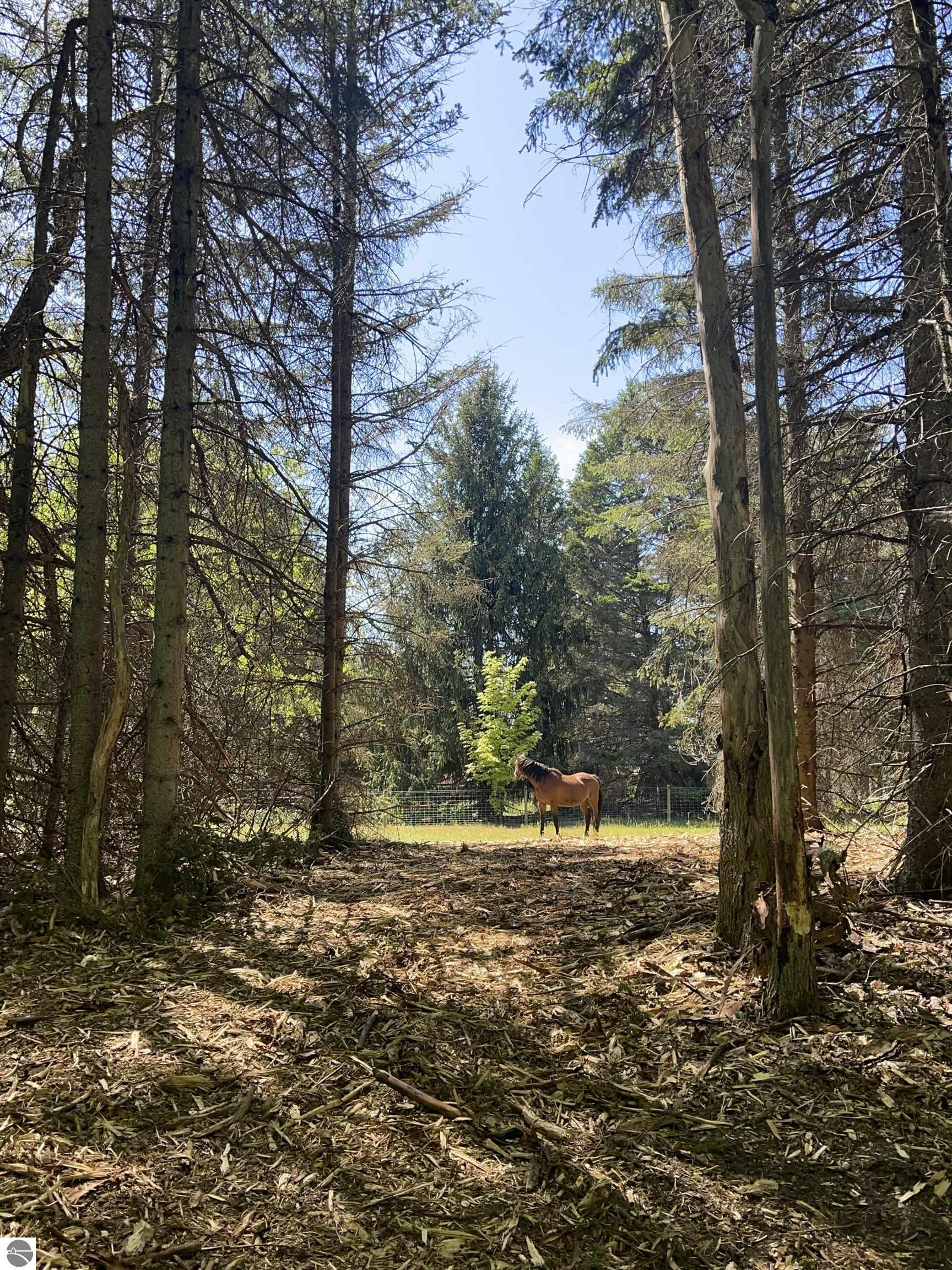 2075 S Lake Leelanau