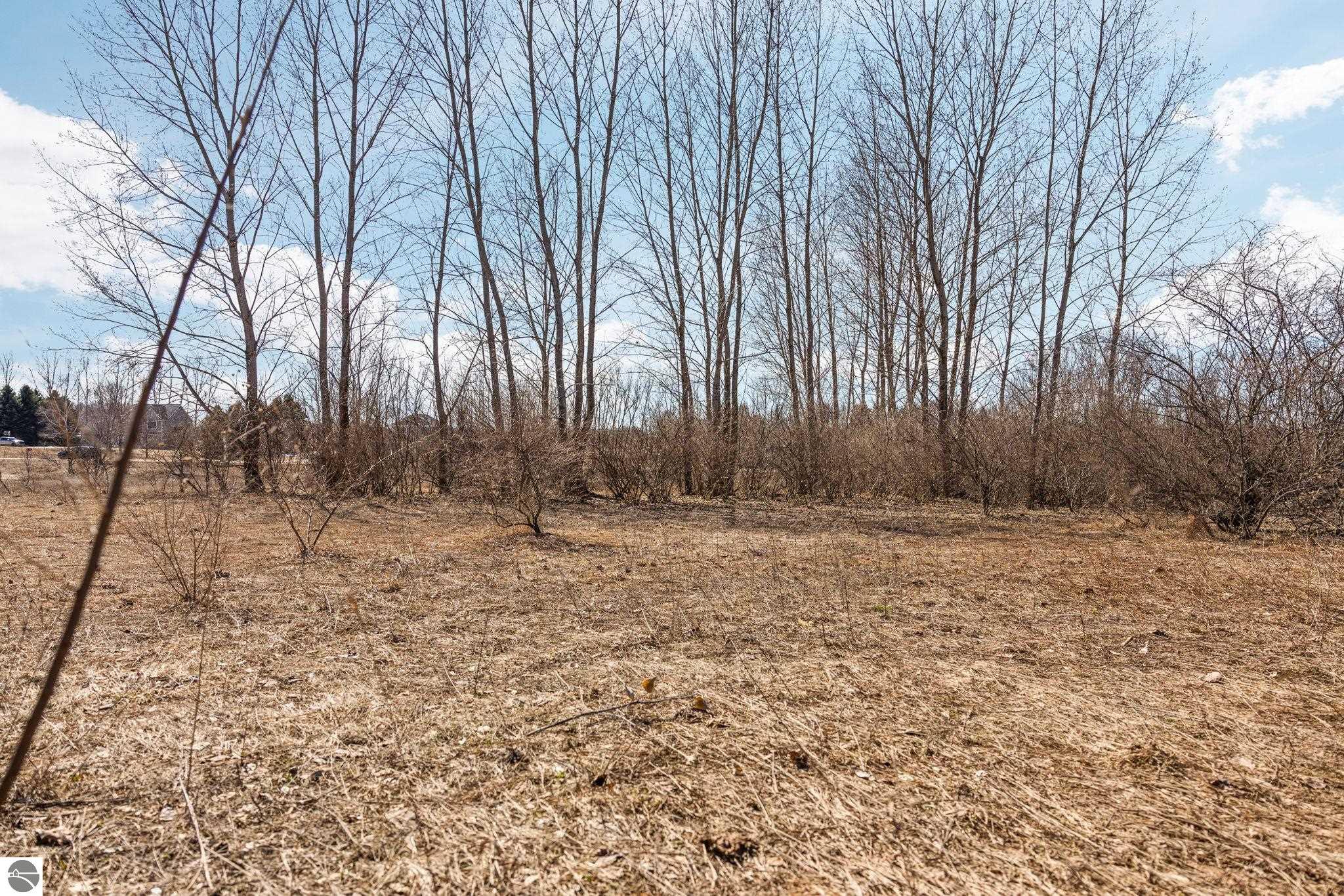 11936 E Blossom Lane