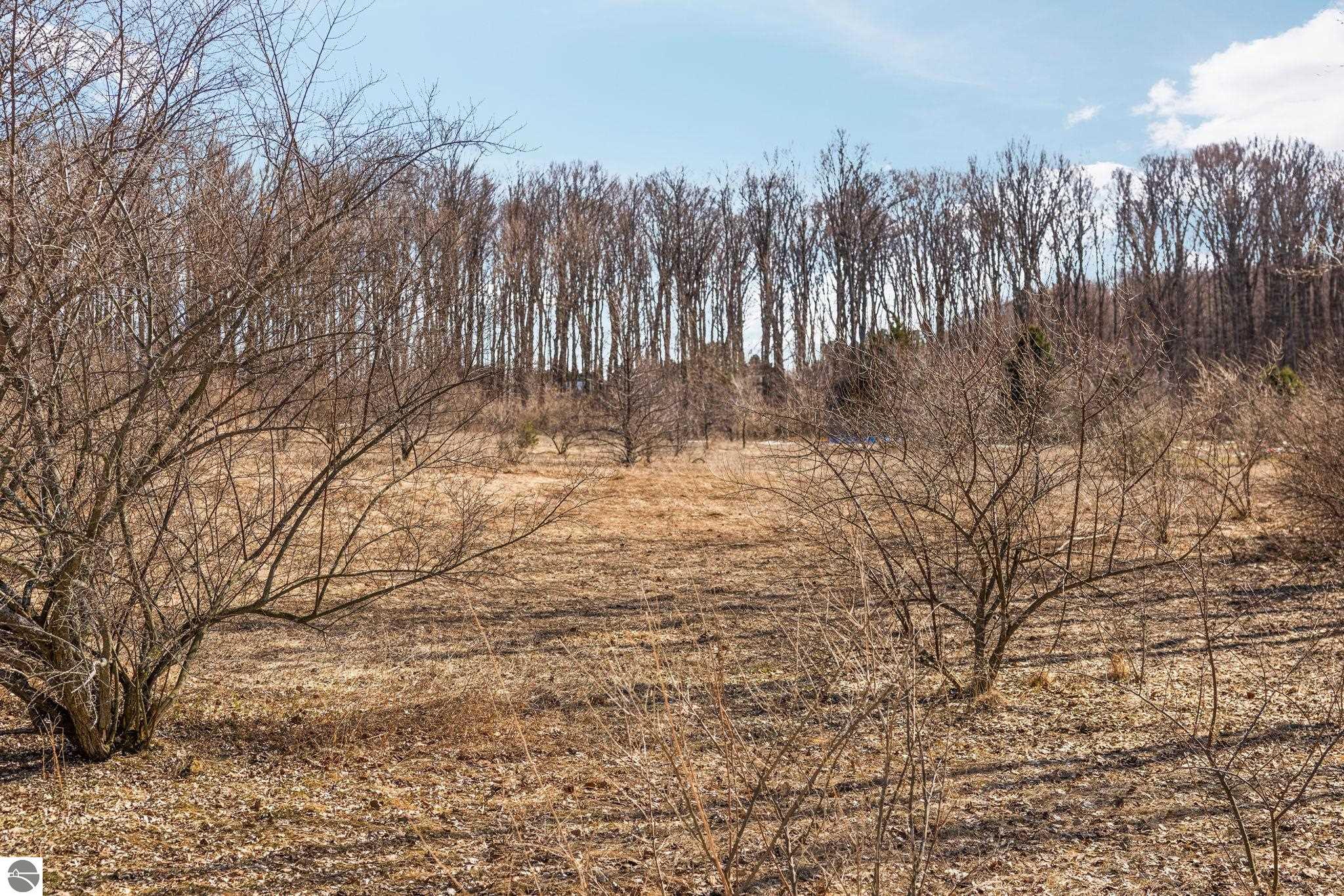 11936 E Blossom Lane