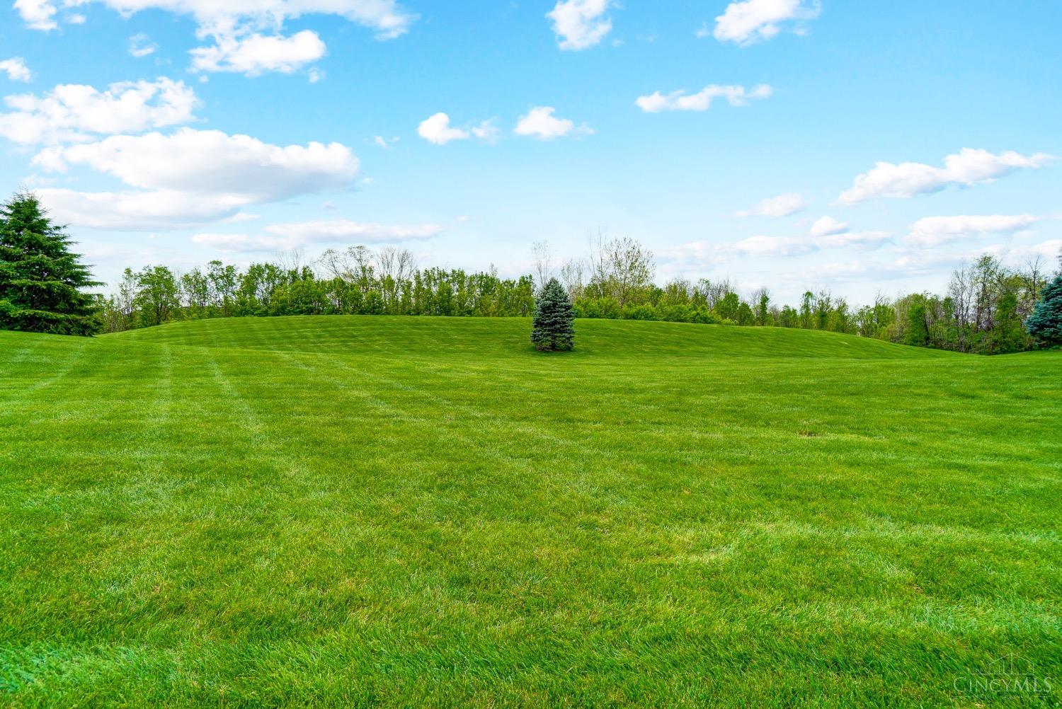 4542 English Oak Court