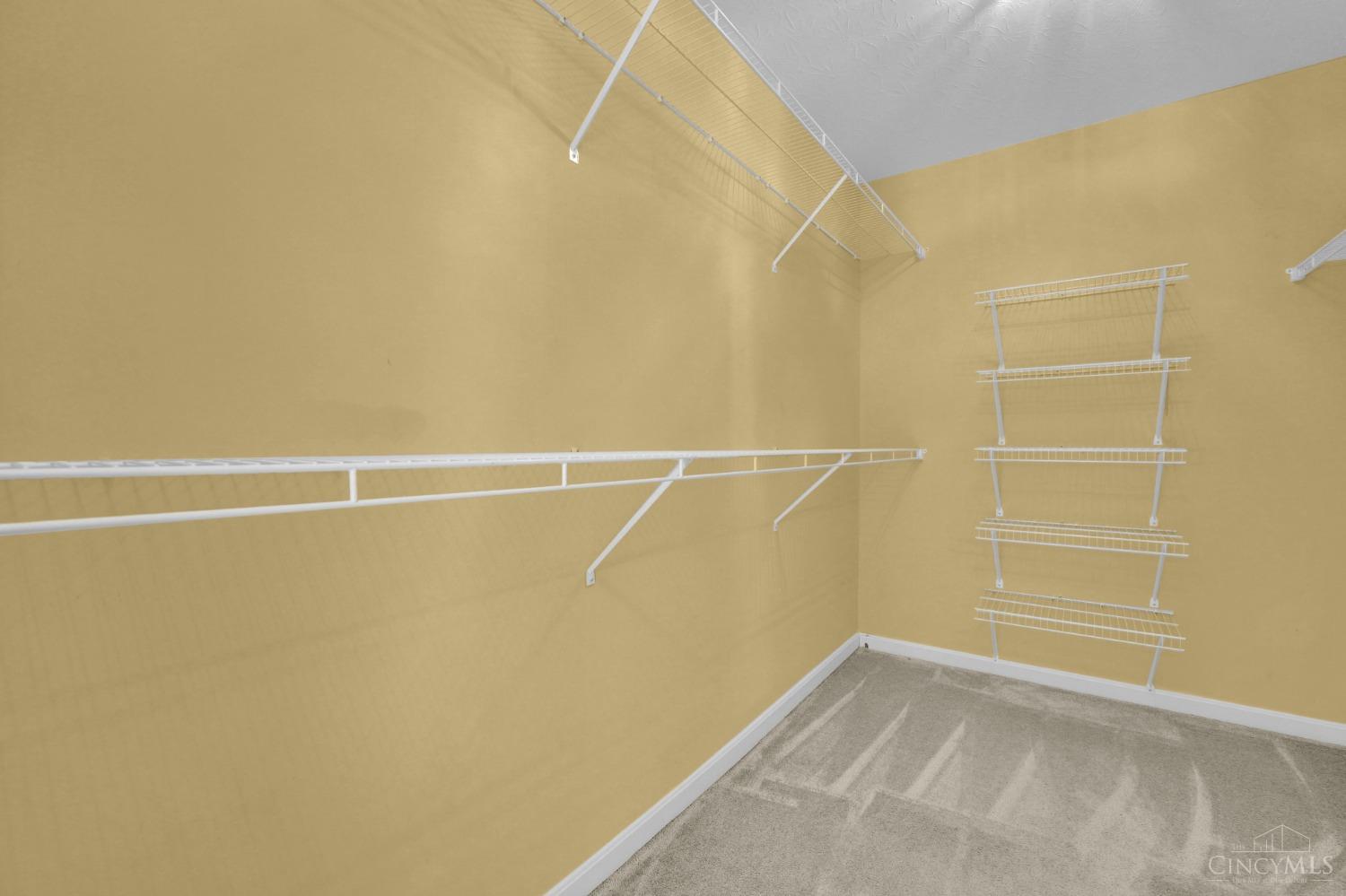 5165 Leslies Woods Court