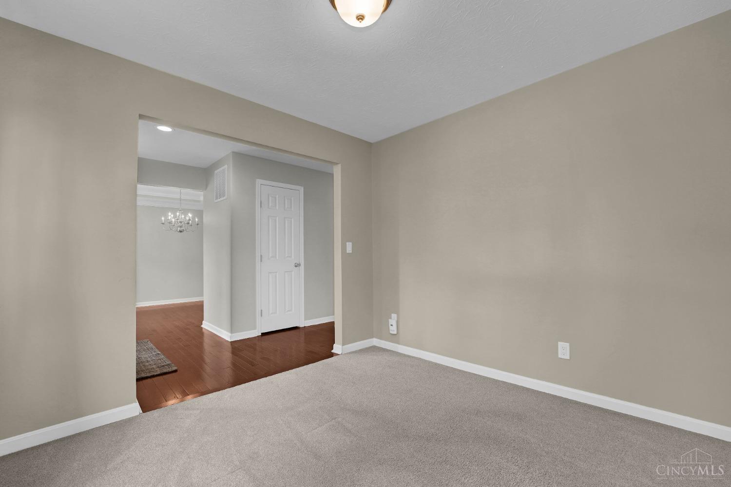 5165 Leslies Woods Court