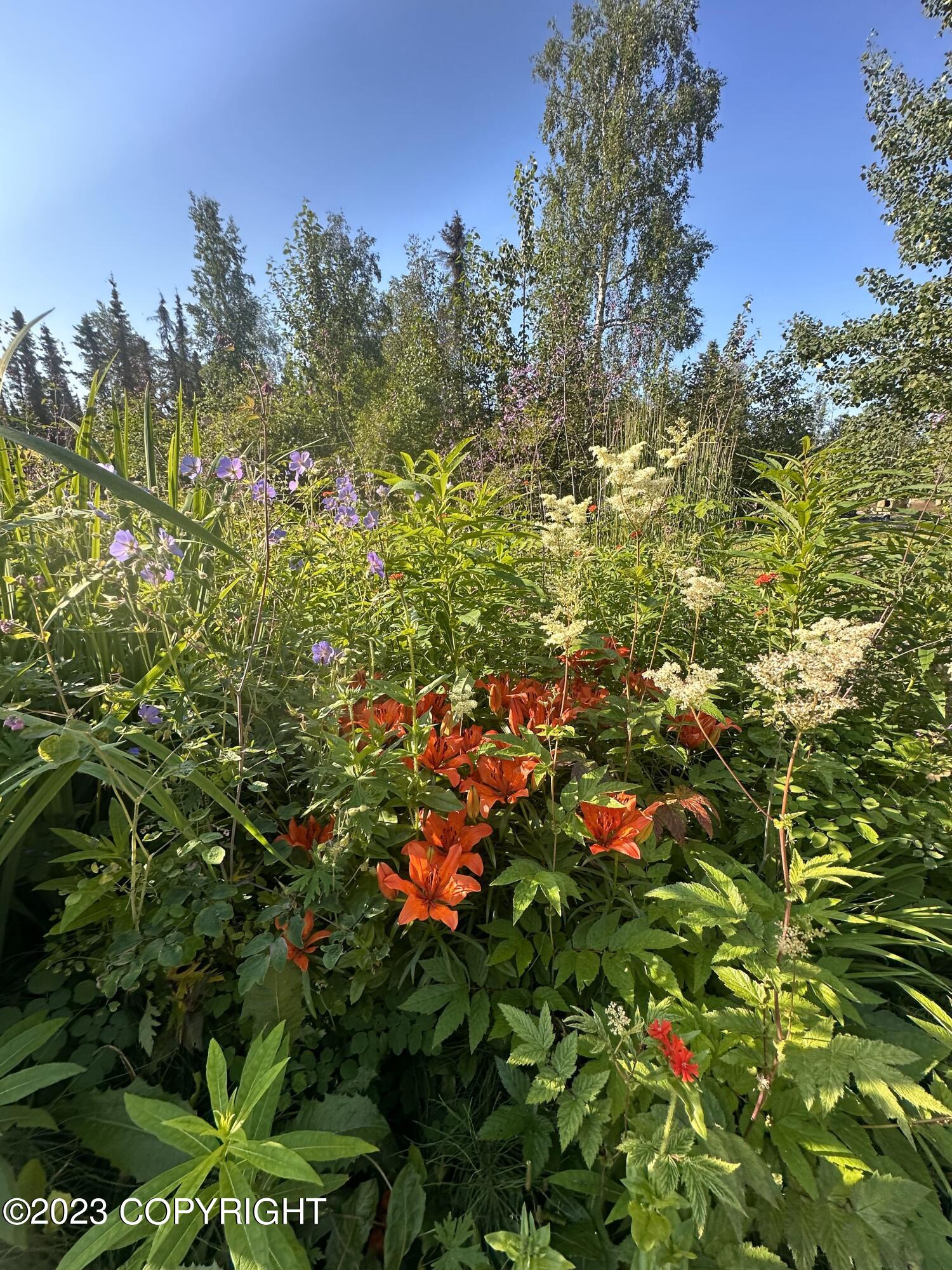 15130 E Denali Estates