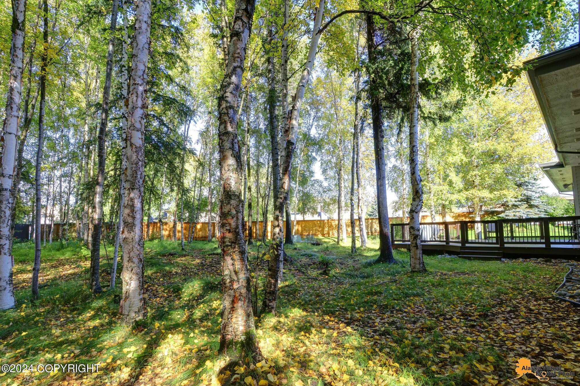 12410 Caragana Circle