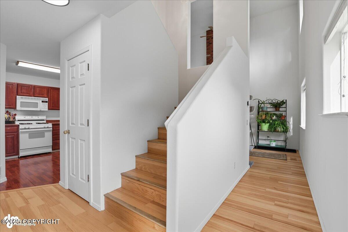 2131 Sundew Circle