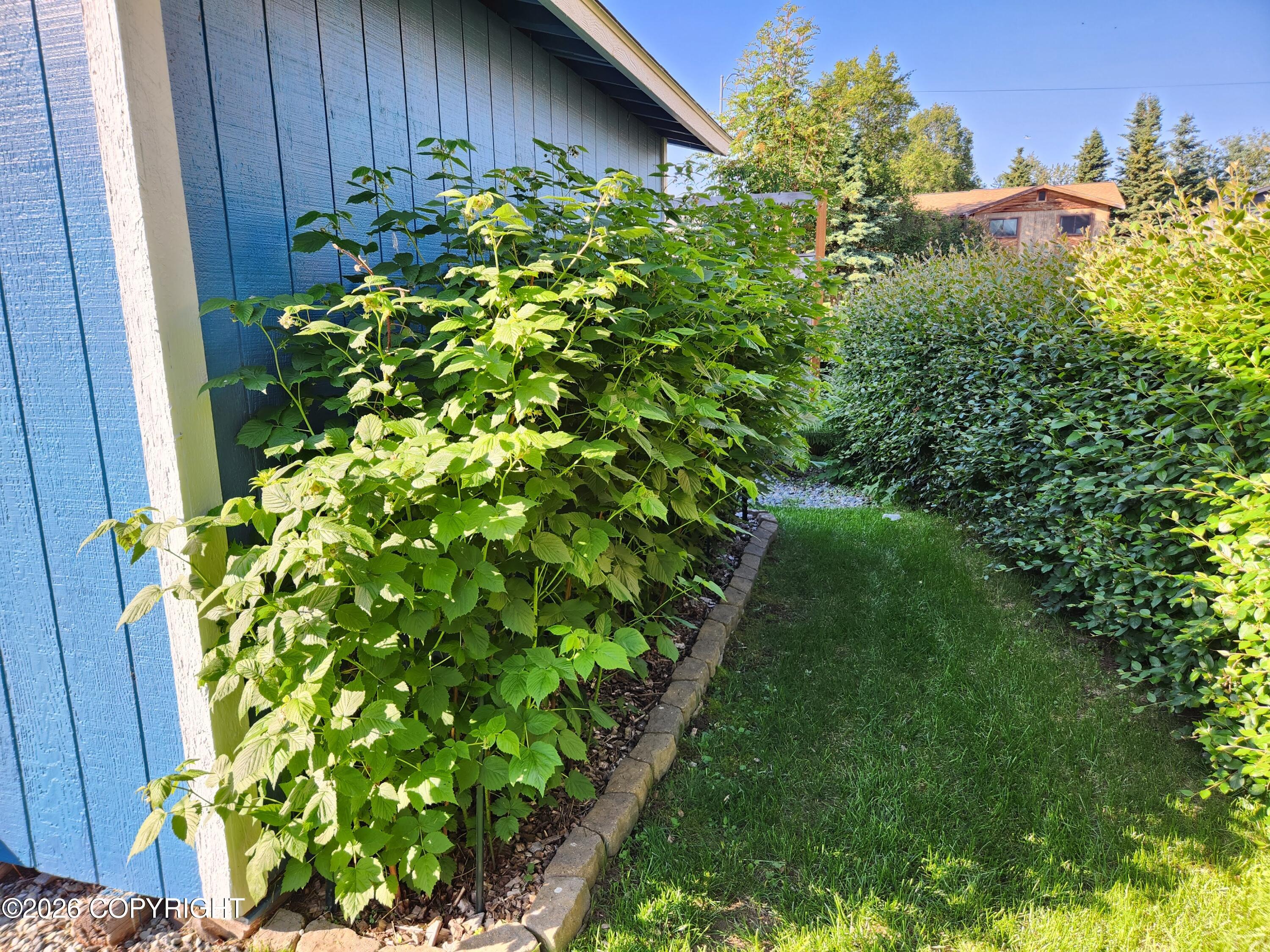 3309 Starlite Circle
