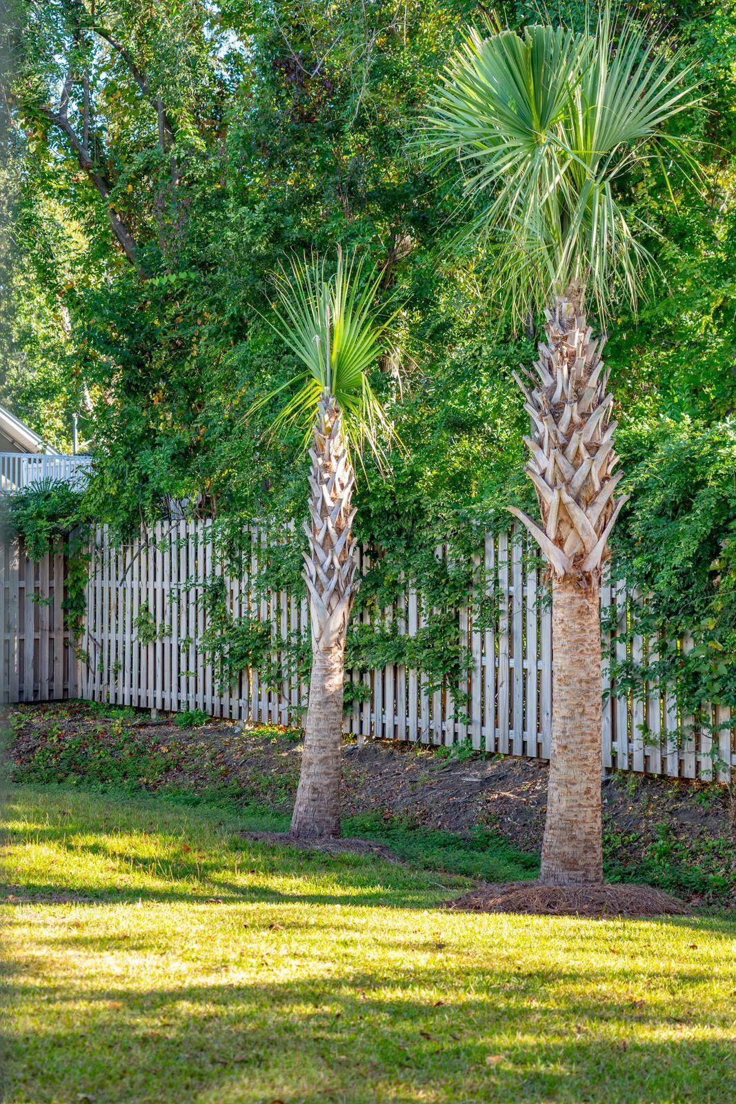 4016 Crockett Court