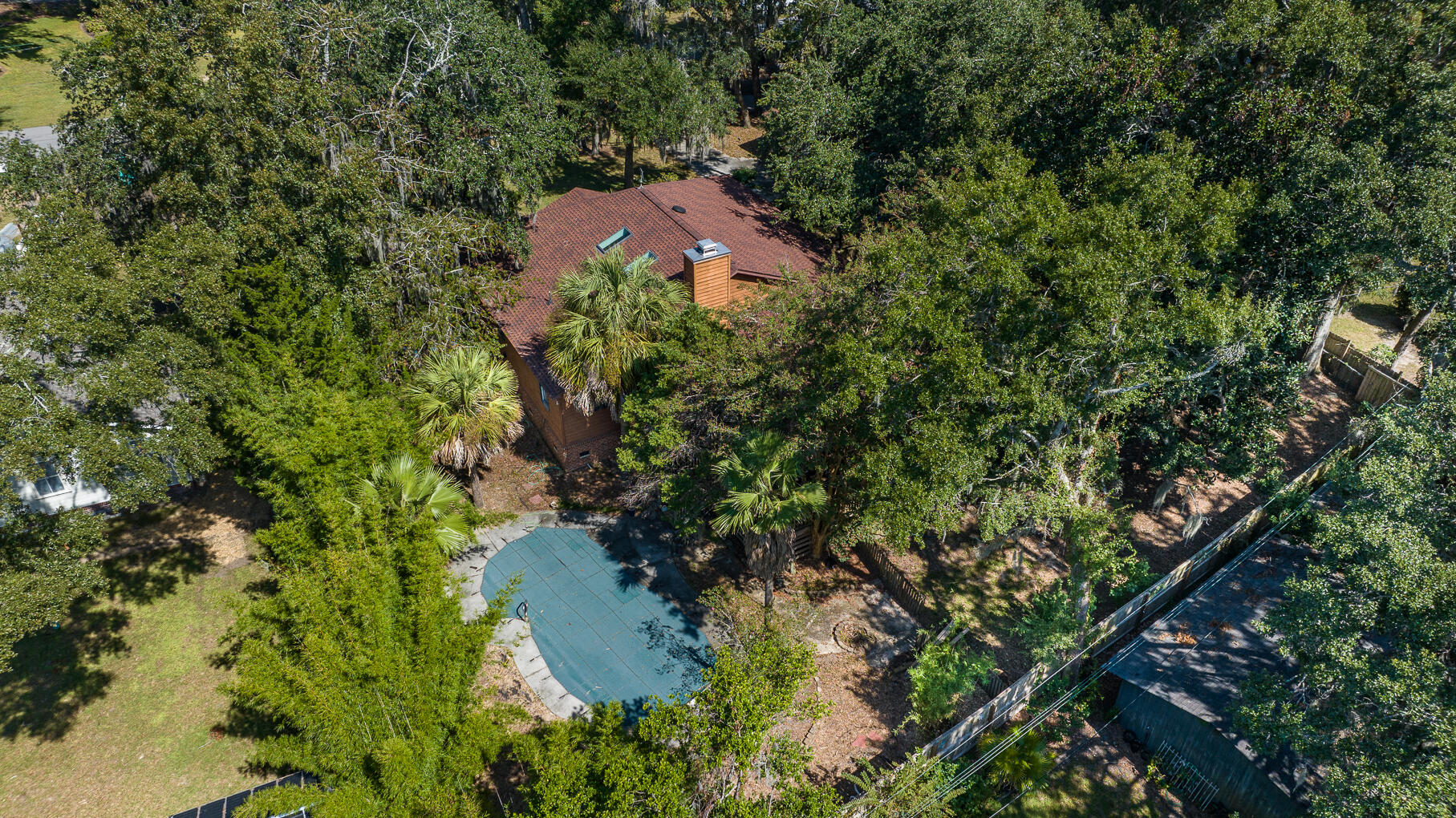 463 Japonica Road