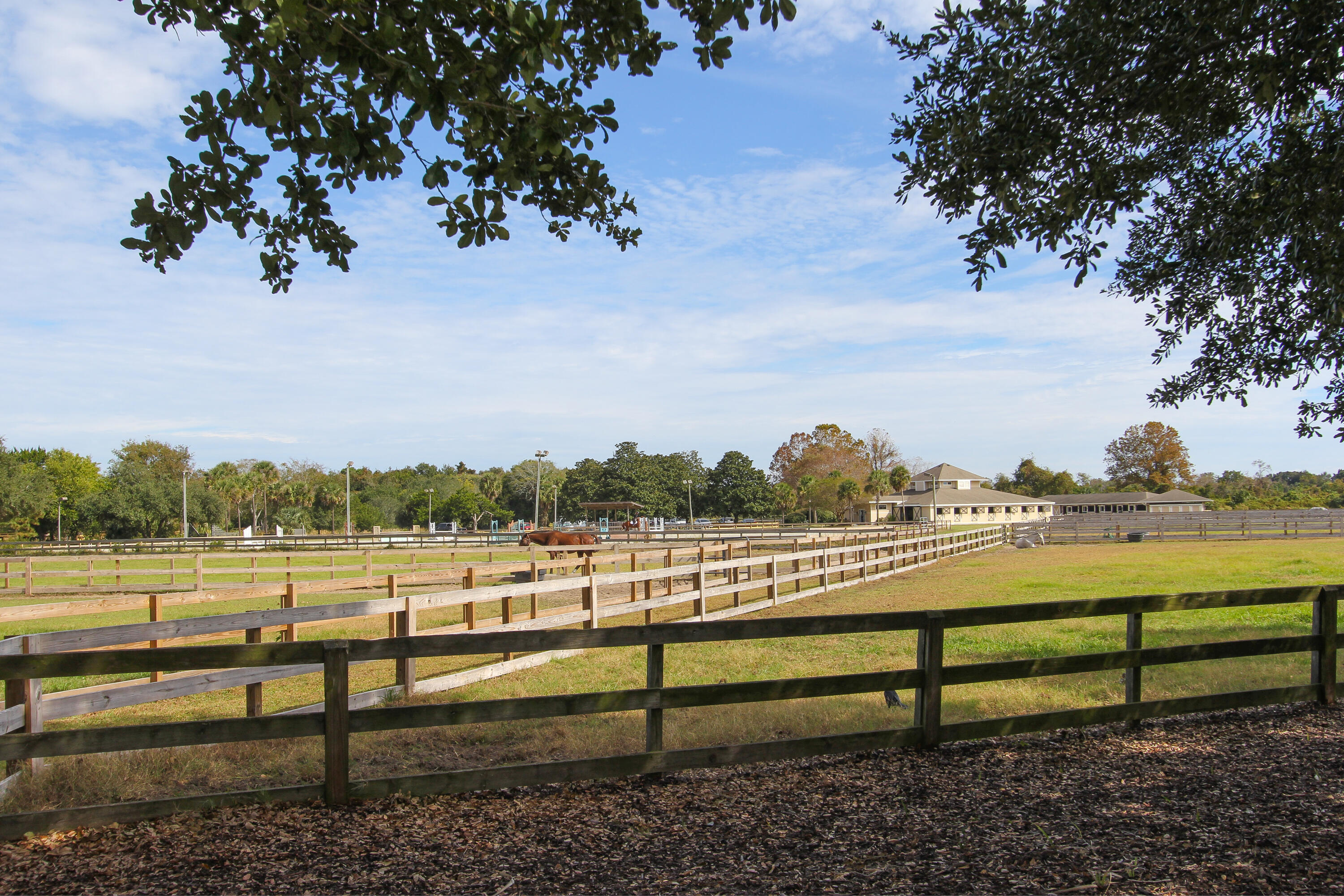 4009 Bridle Trail Drive