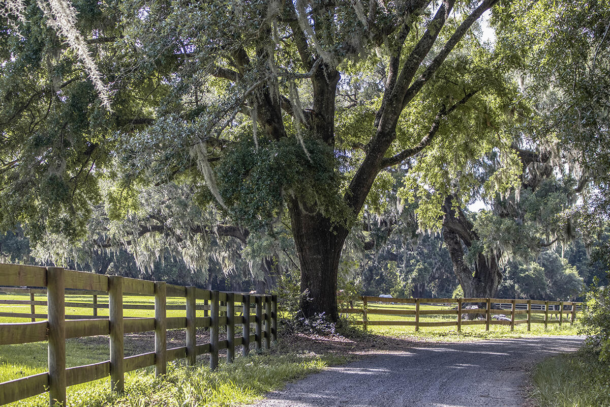 26 Middleton Oaks Road