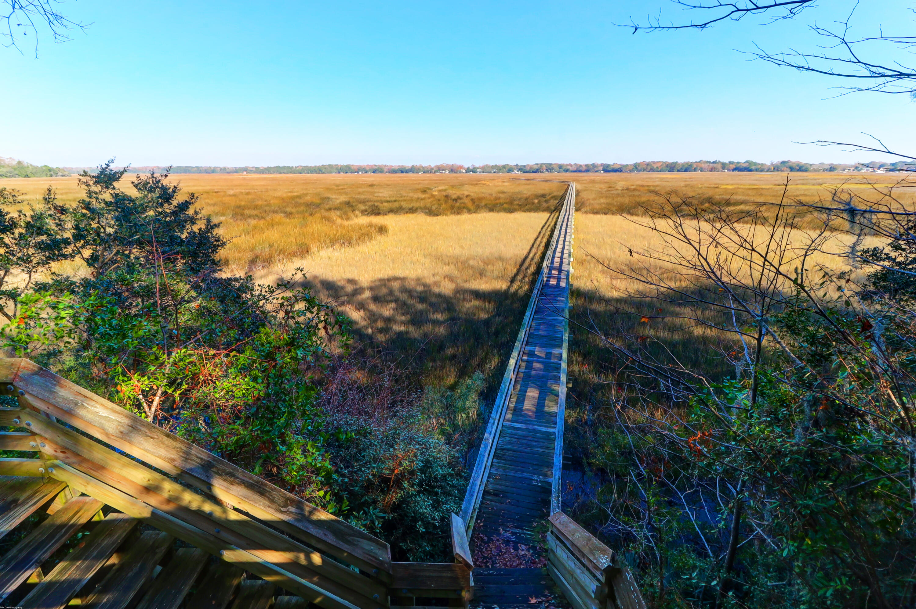 3166 Riverine View