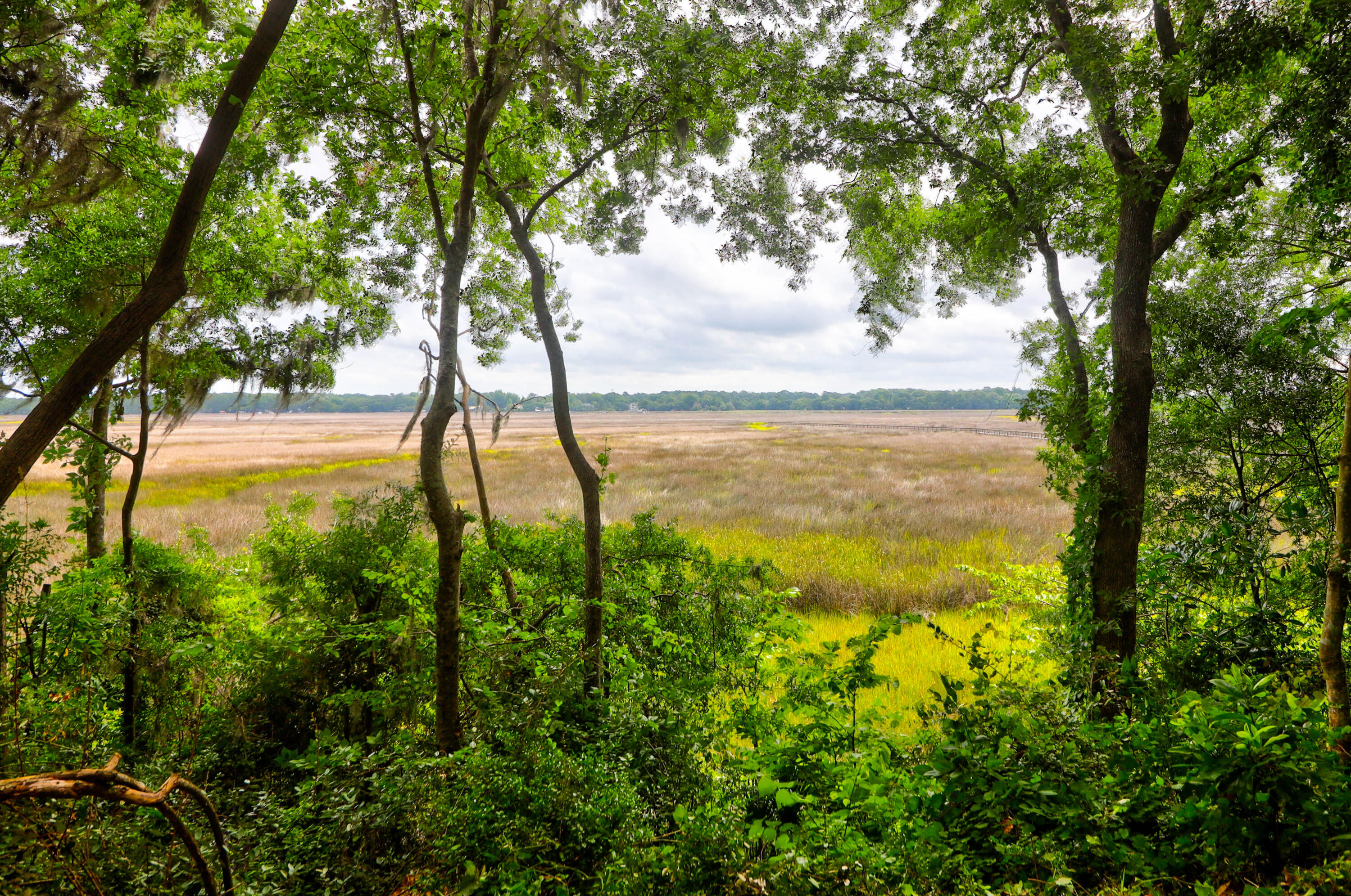 3166 Riverine View