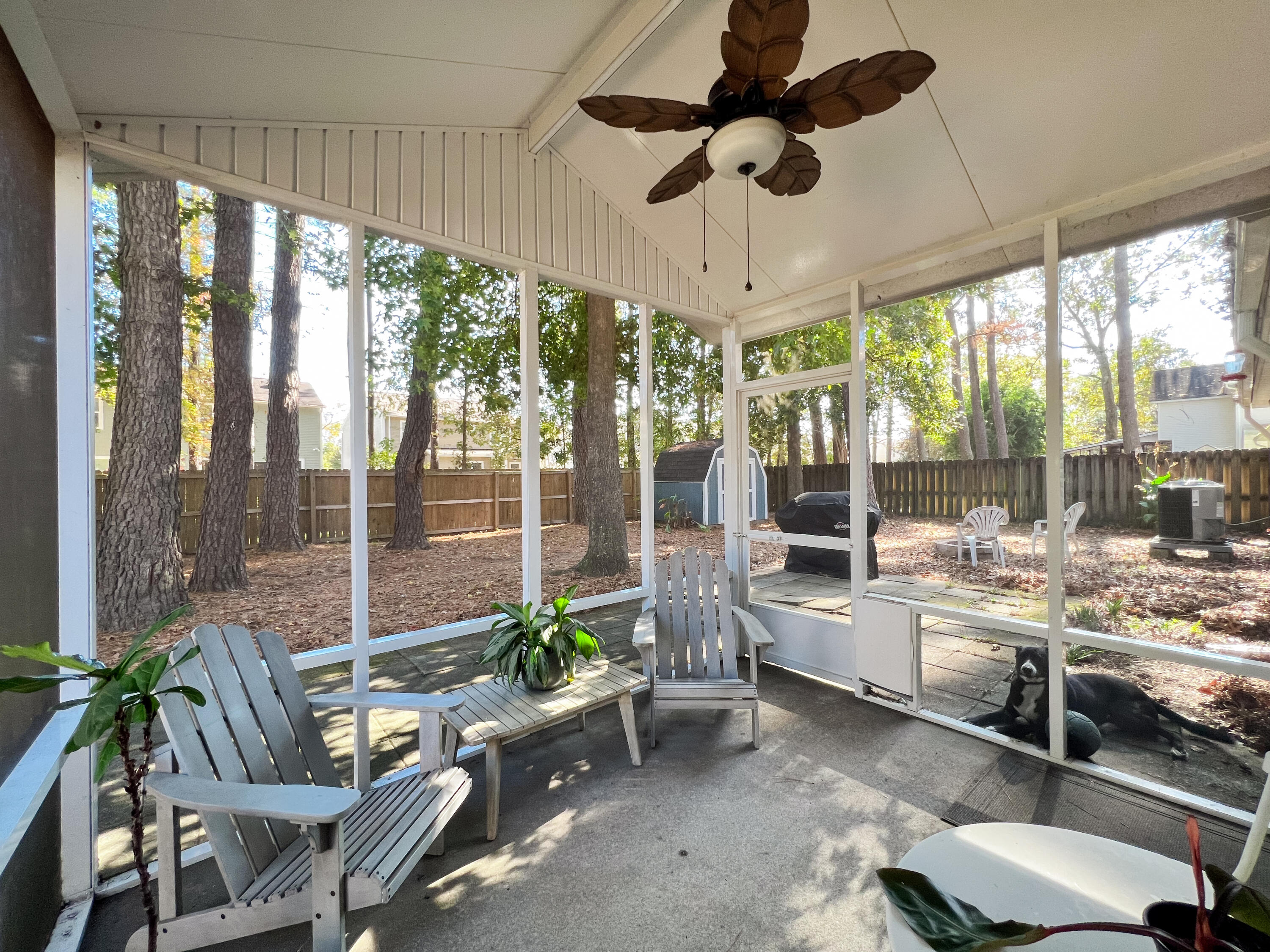 674 Ponderosa
