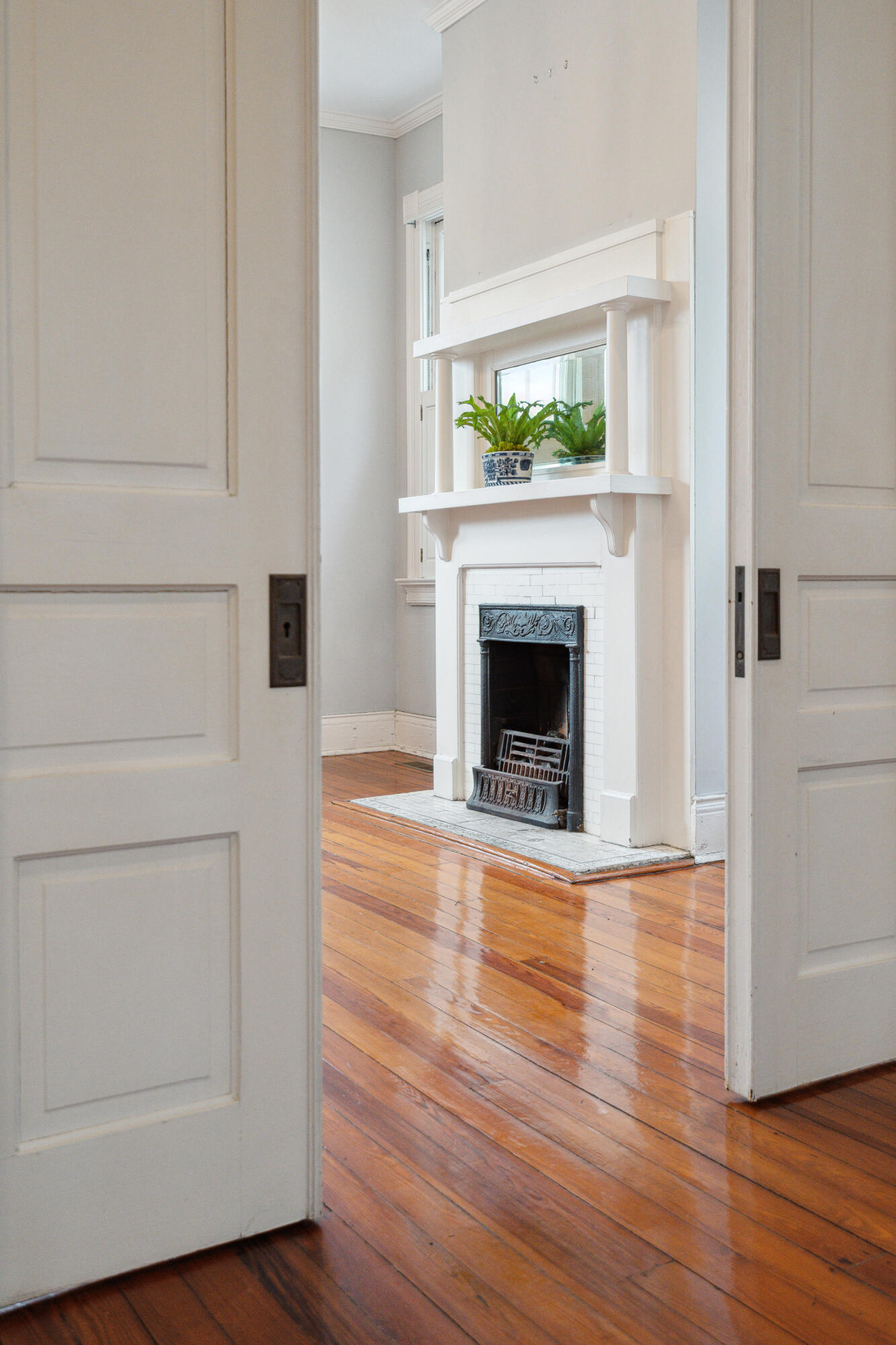 6 Halsey Street