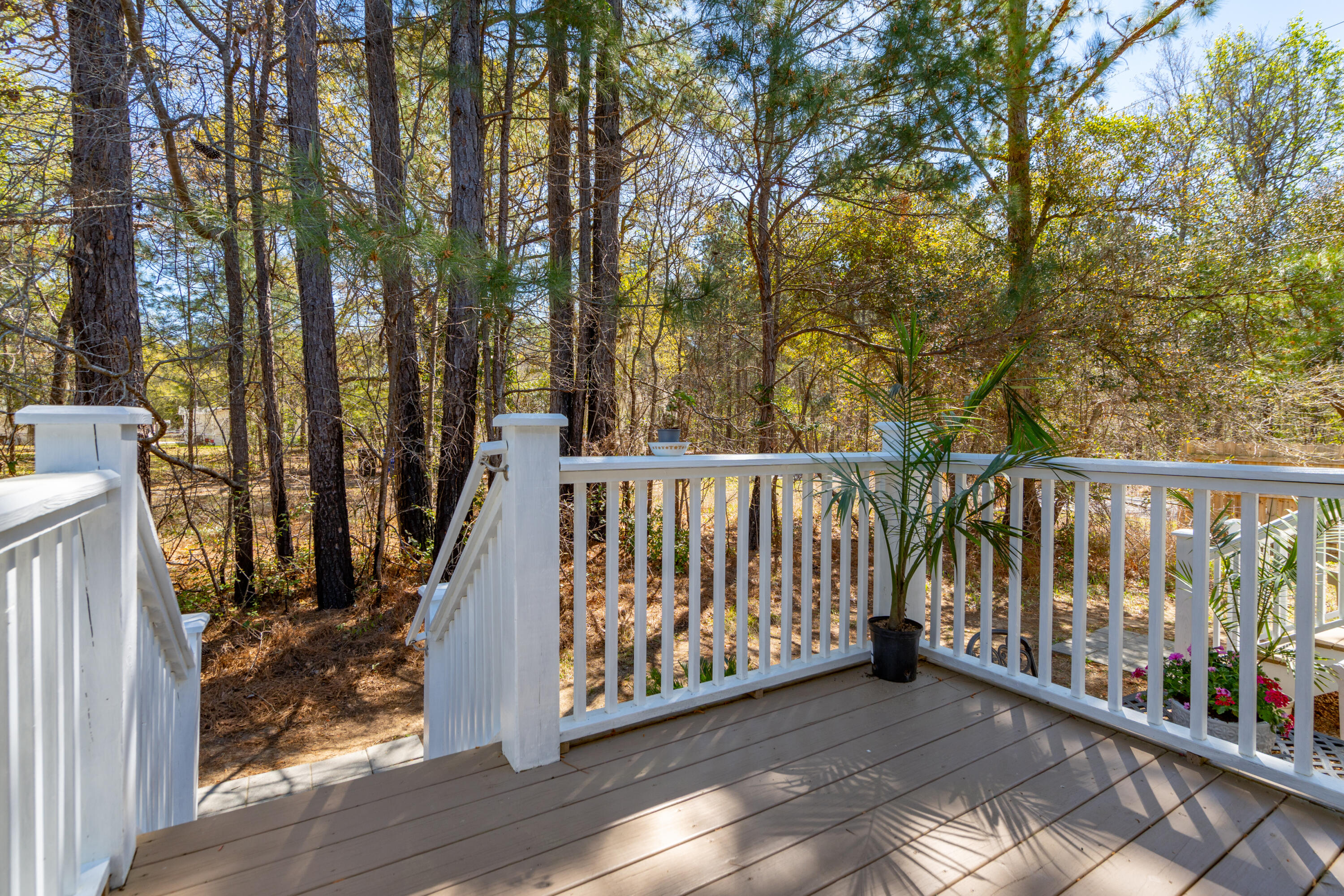 5638 Dixie Plantation Road