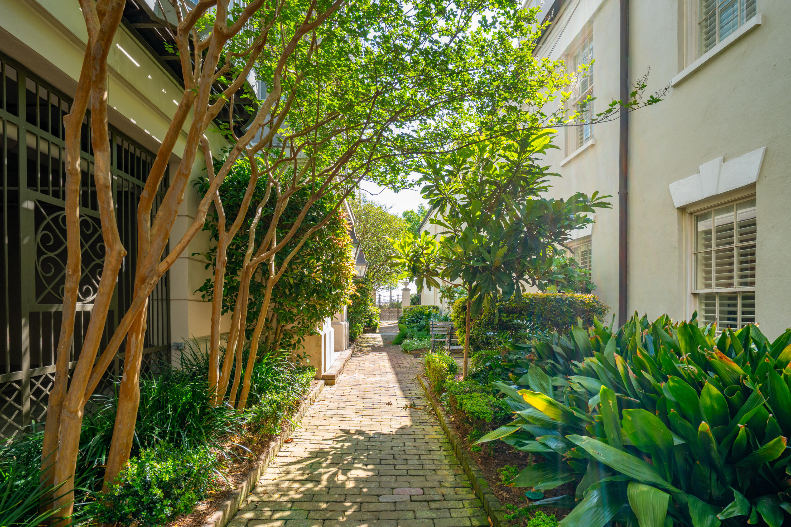 8 Prioleau Street # A Unit: Th A