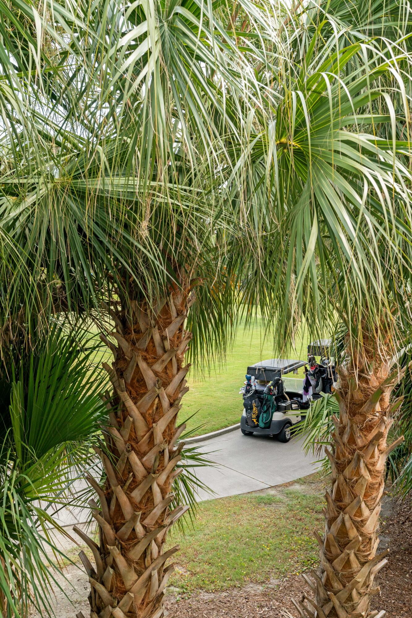 55 Seagrass Lane