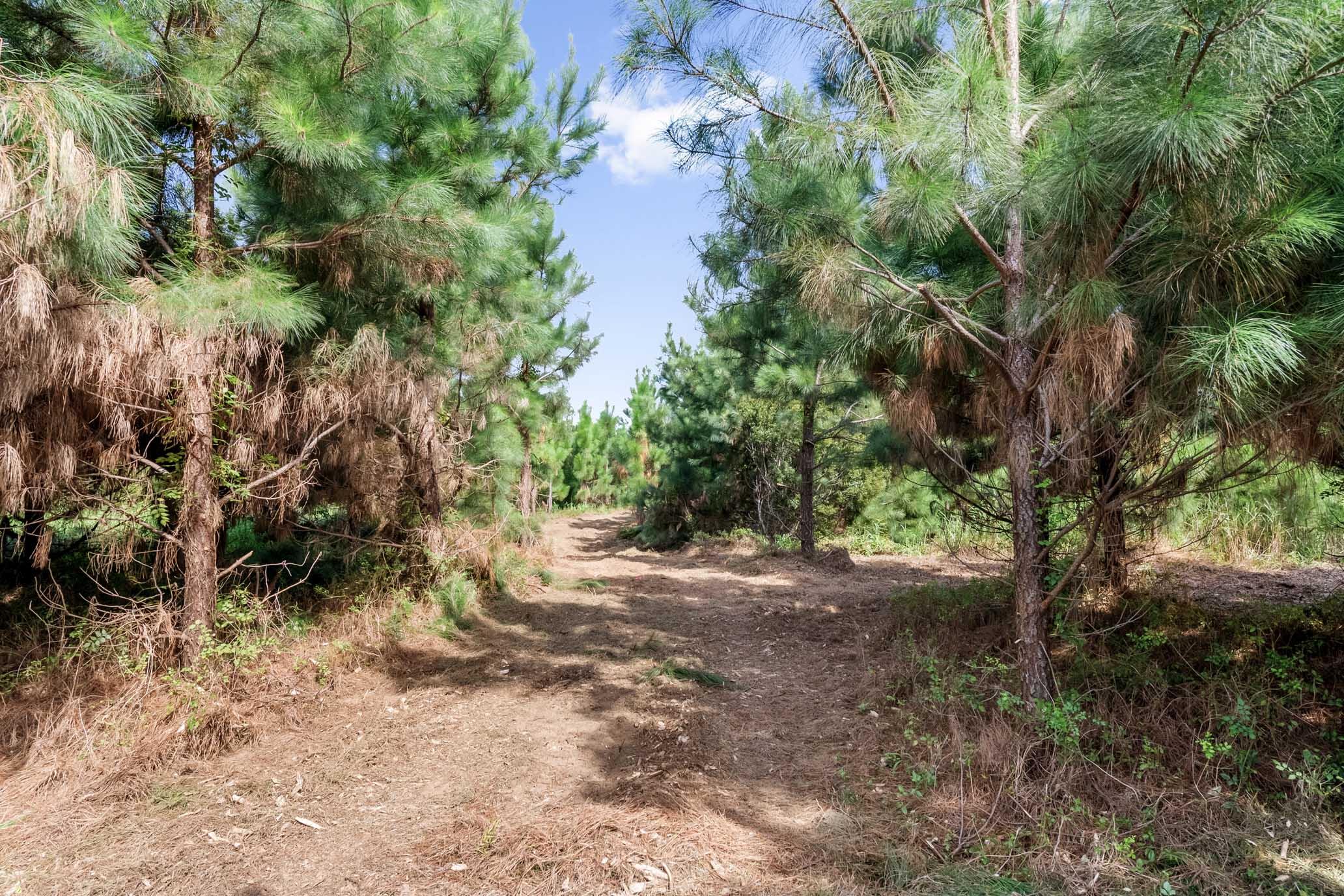 3296 Legareville Road