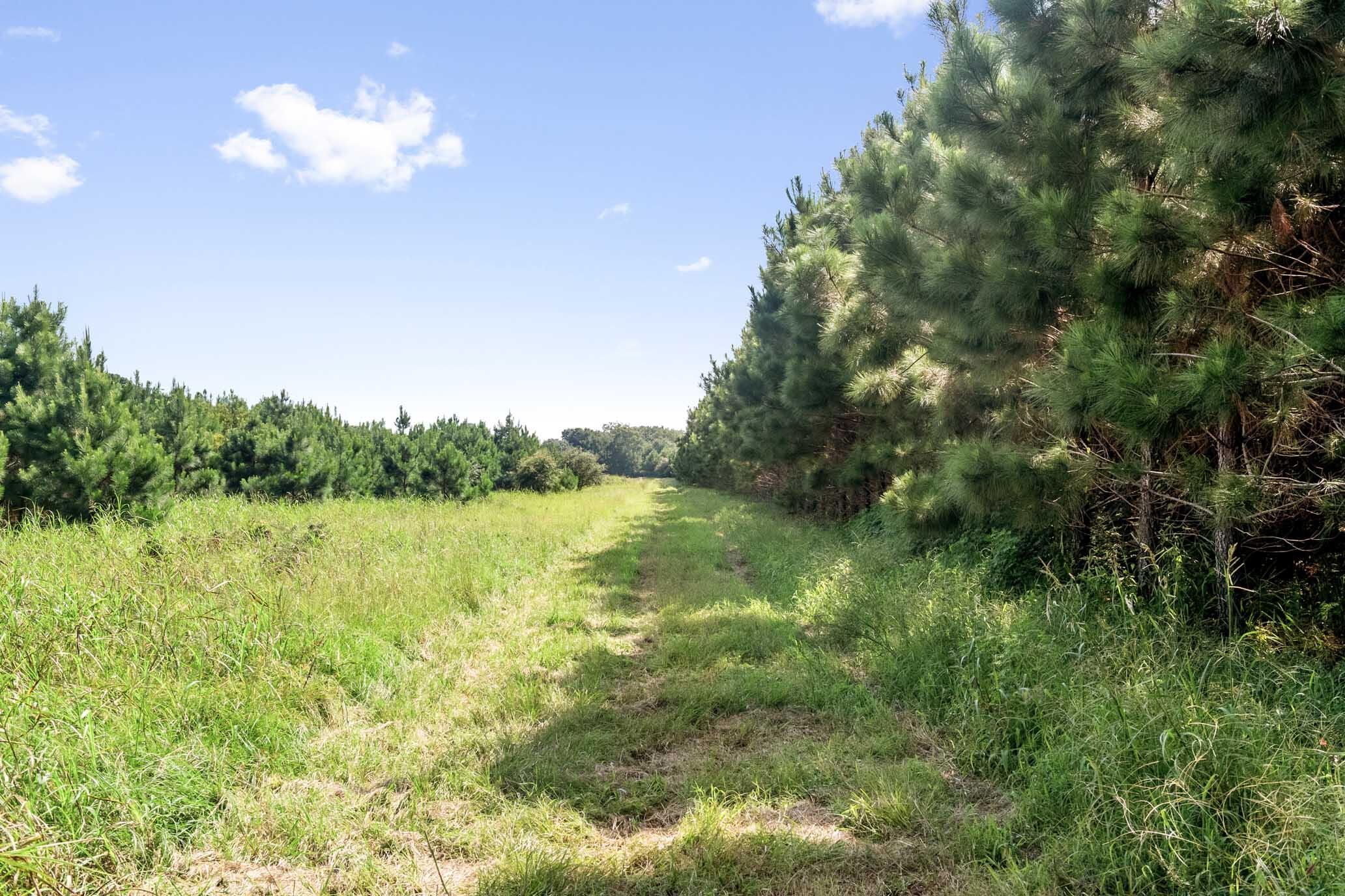 3296 Legareville Road